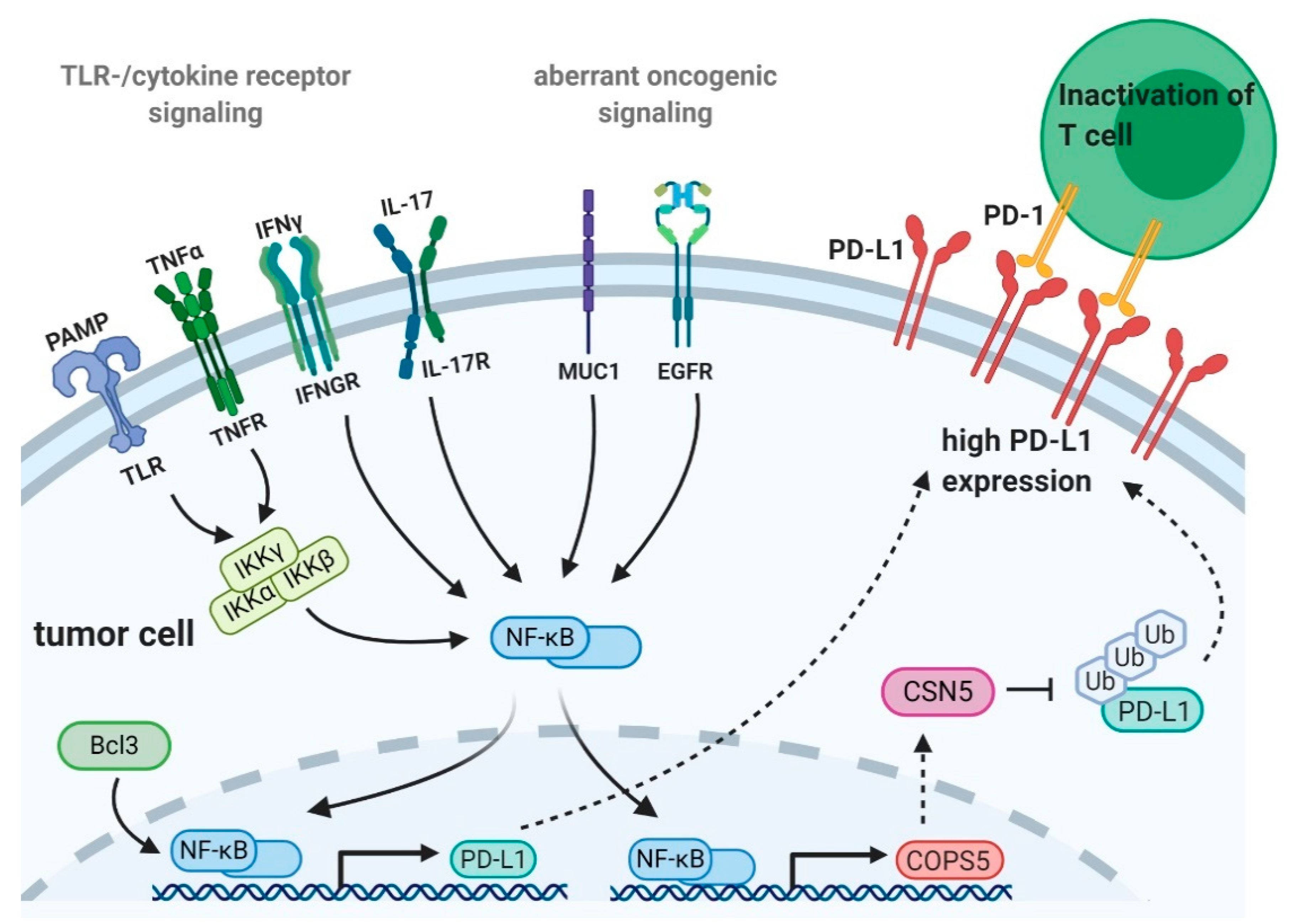 Ijms 21 03949 g001 Ijms 21 03949 g001