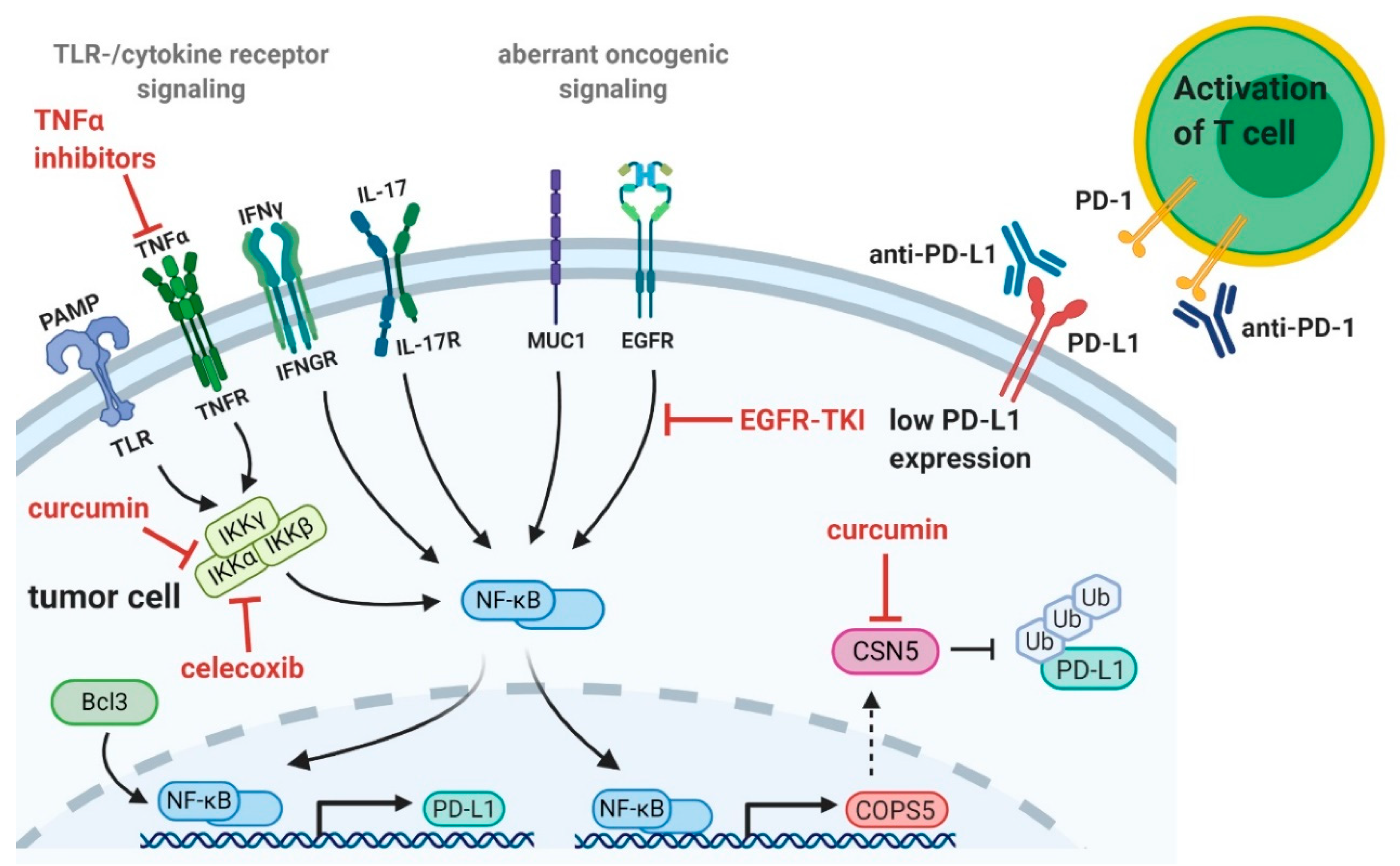 Ijms 21 03949 g002 Ijms 21 03949 g002