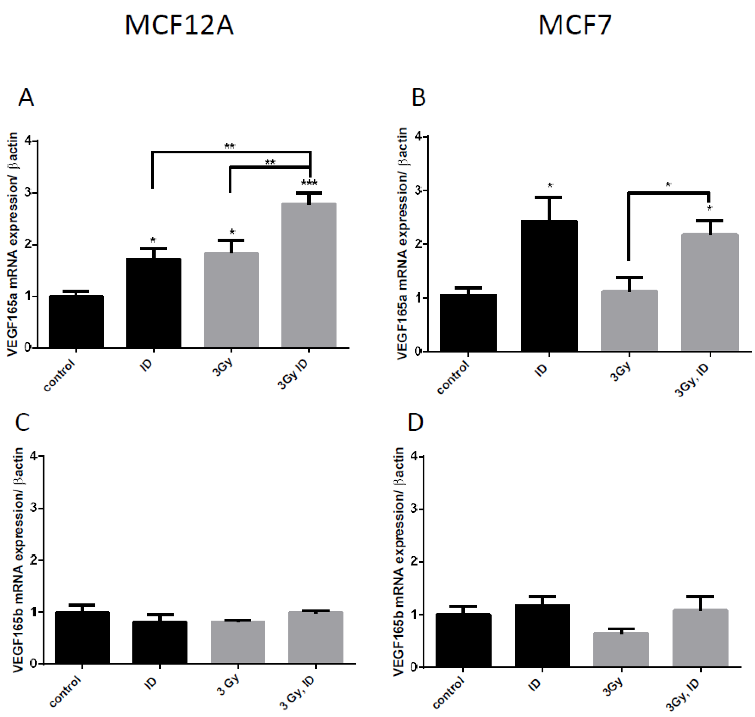 Ijms 21 03963 g004 Ijms 21 03963 g004
