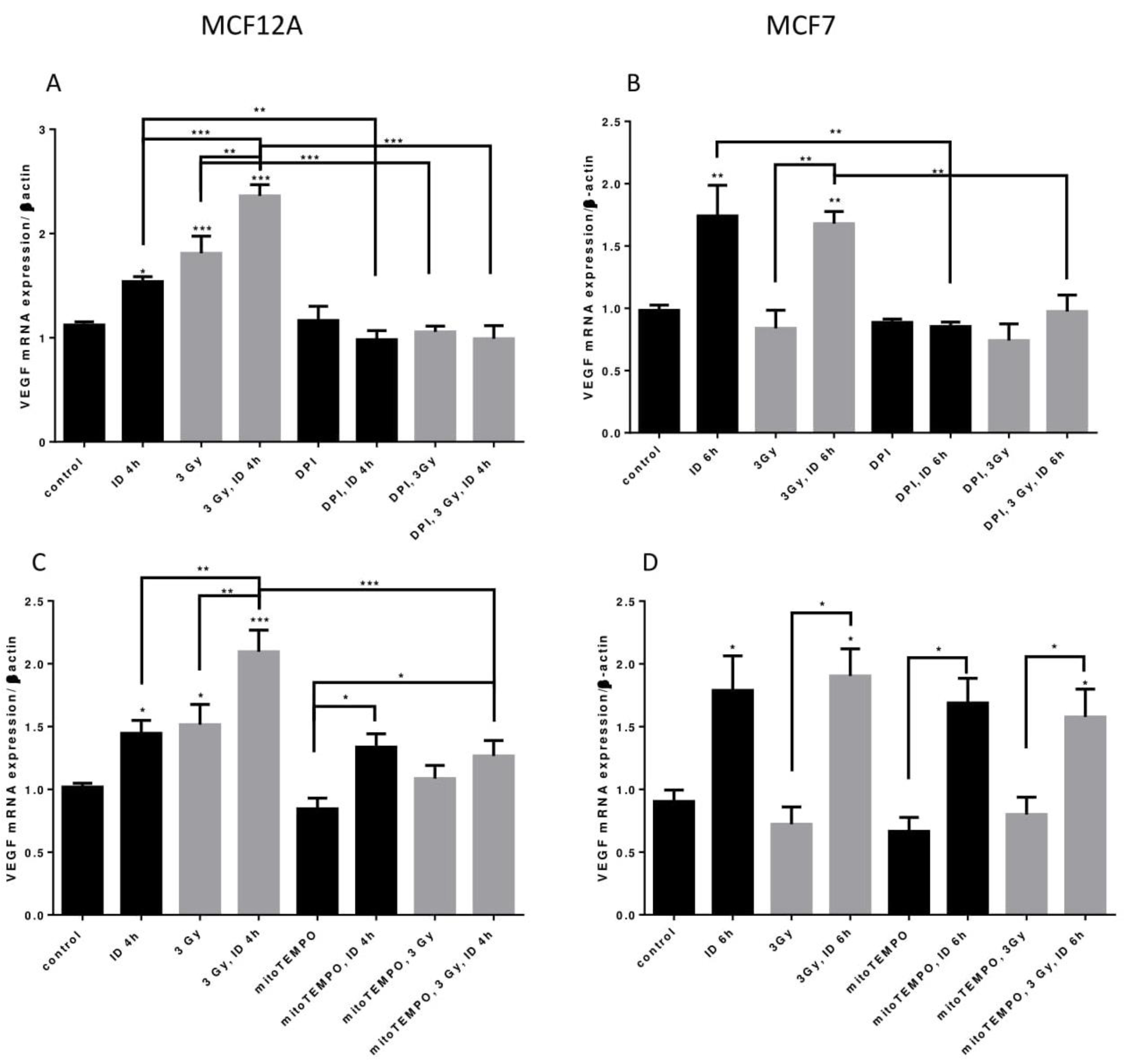 Ijms 21 03963 g007 Ijms 21 03963 g007