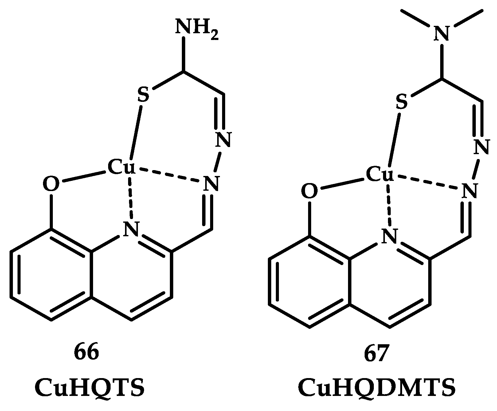 Ijms 21 03965 g020 Ijms 21 03965 g020