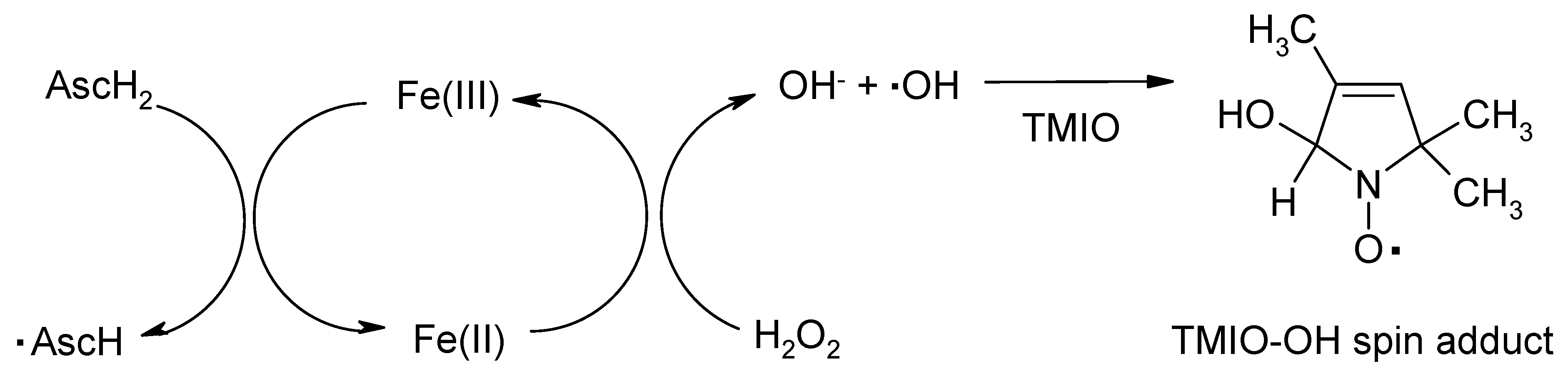 Ijms 21 03967 sch005