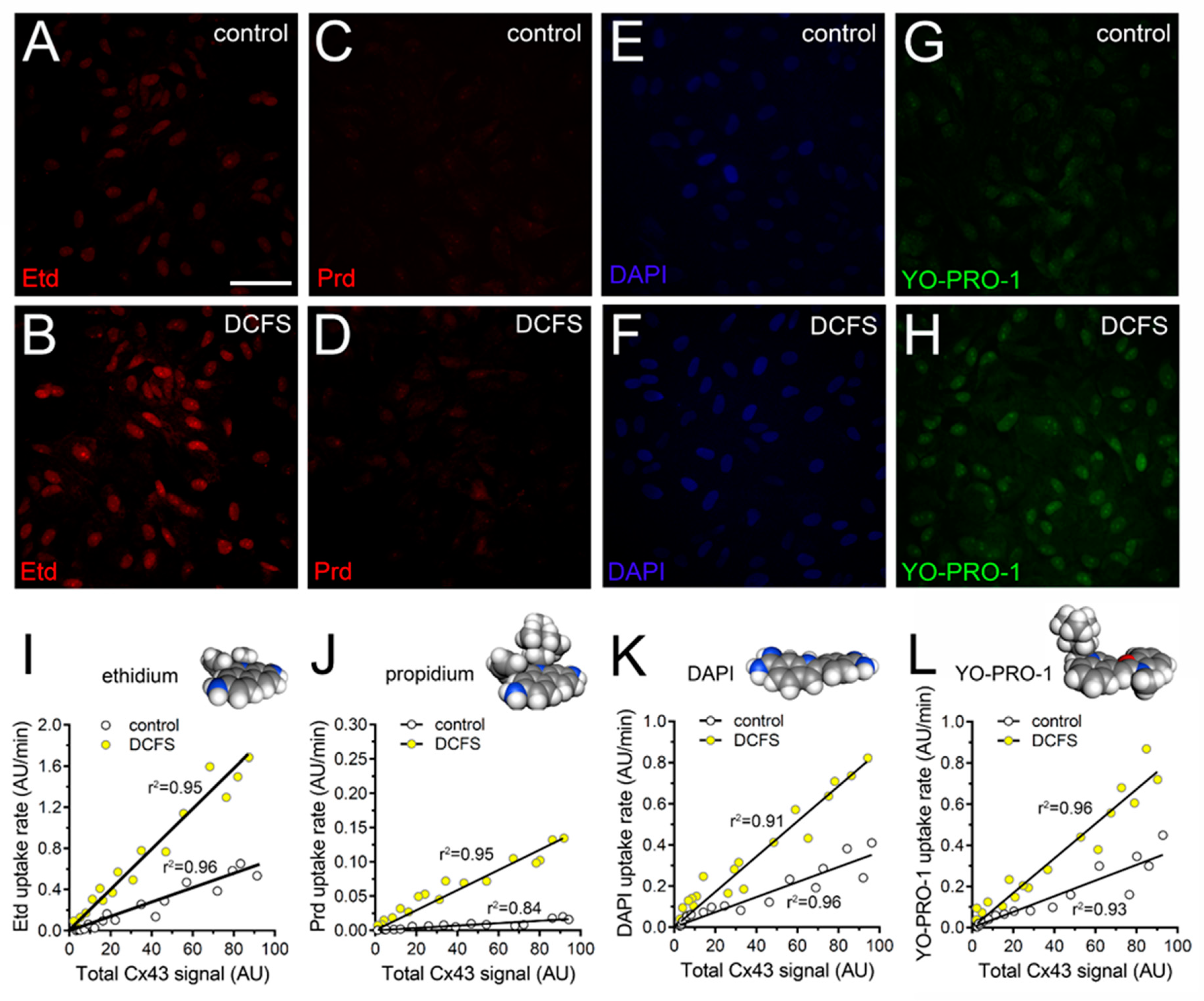 Ijms 21 03970 g001 Ijms 21 03970 g001