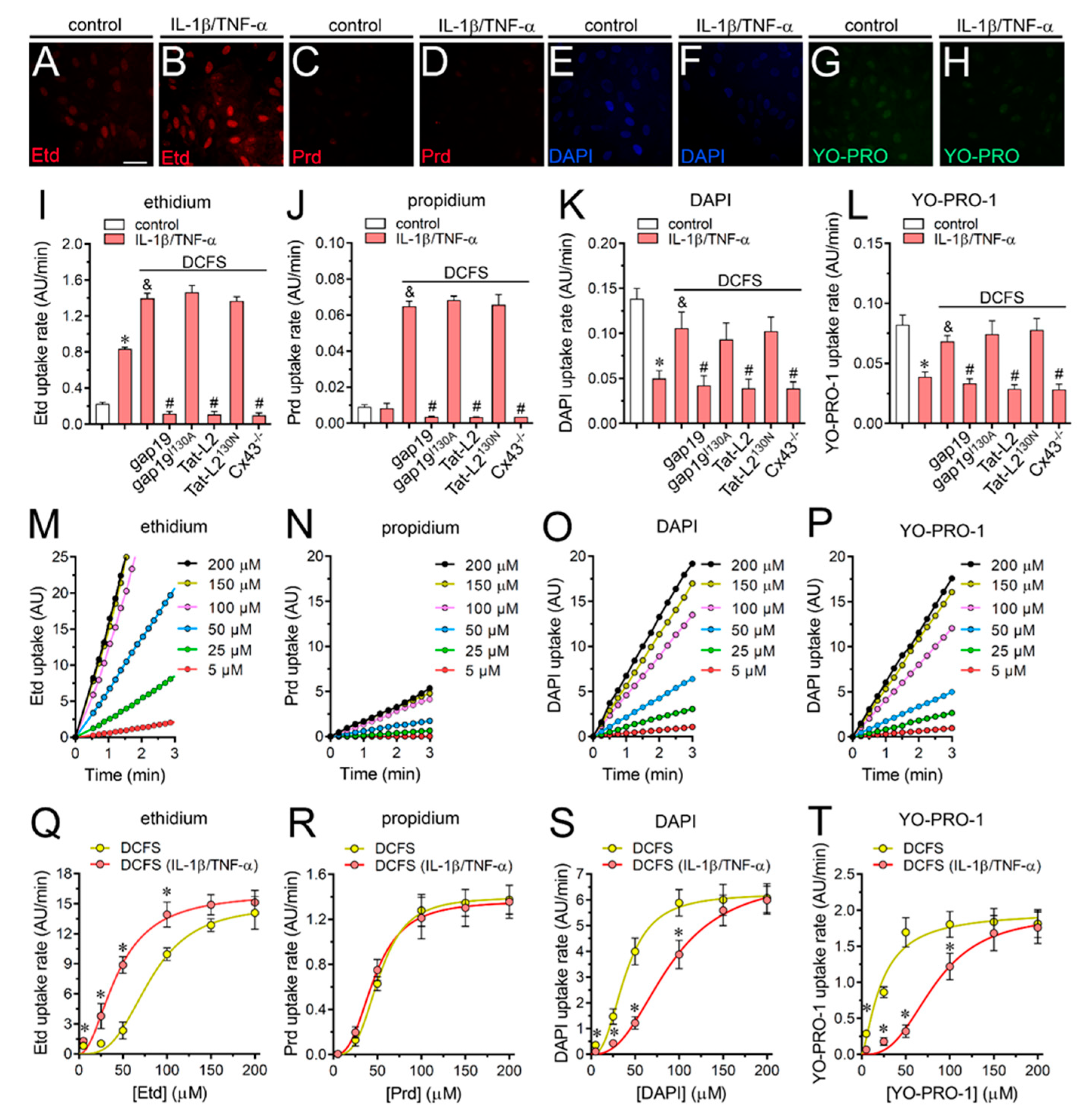 Ijms 21 03970 g003 Ijms 21 03970 g003