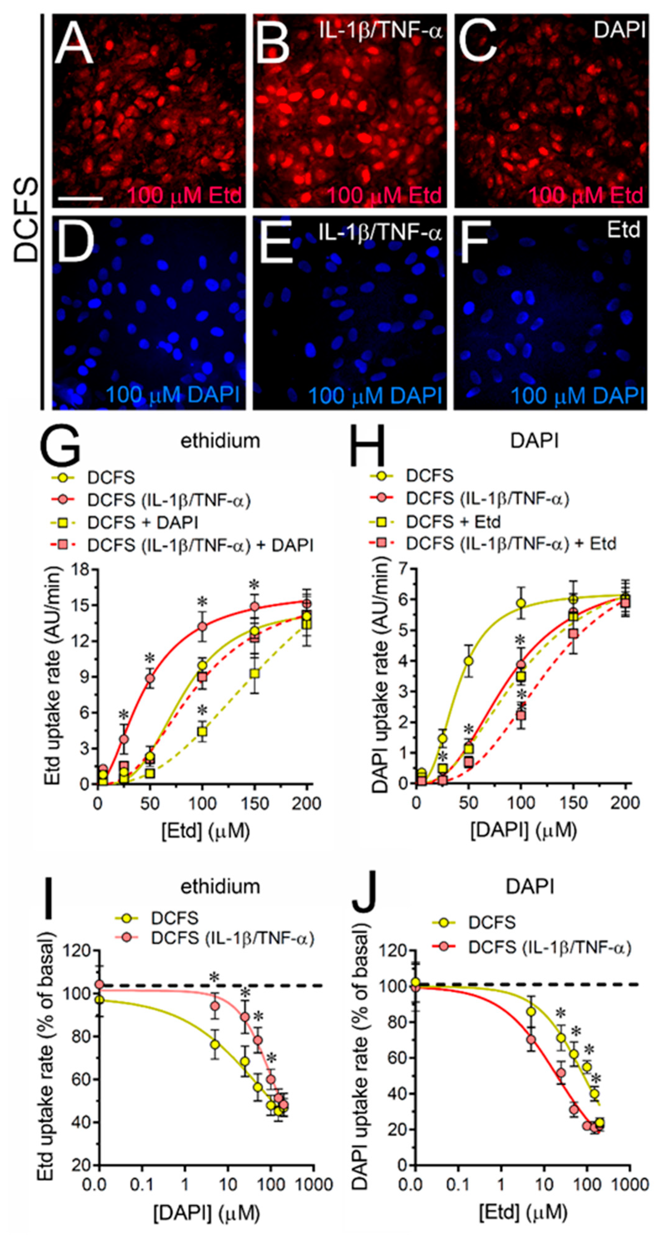 Ijms 21 03970 g005 Ijms 21 03970 g005