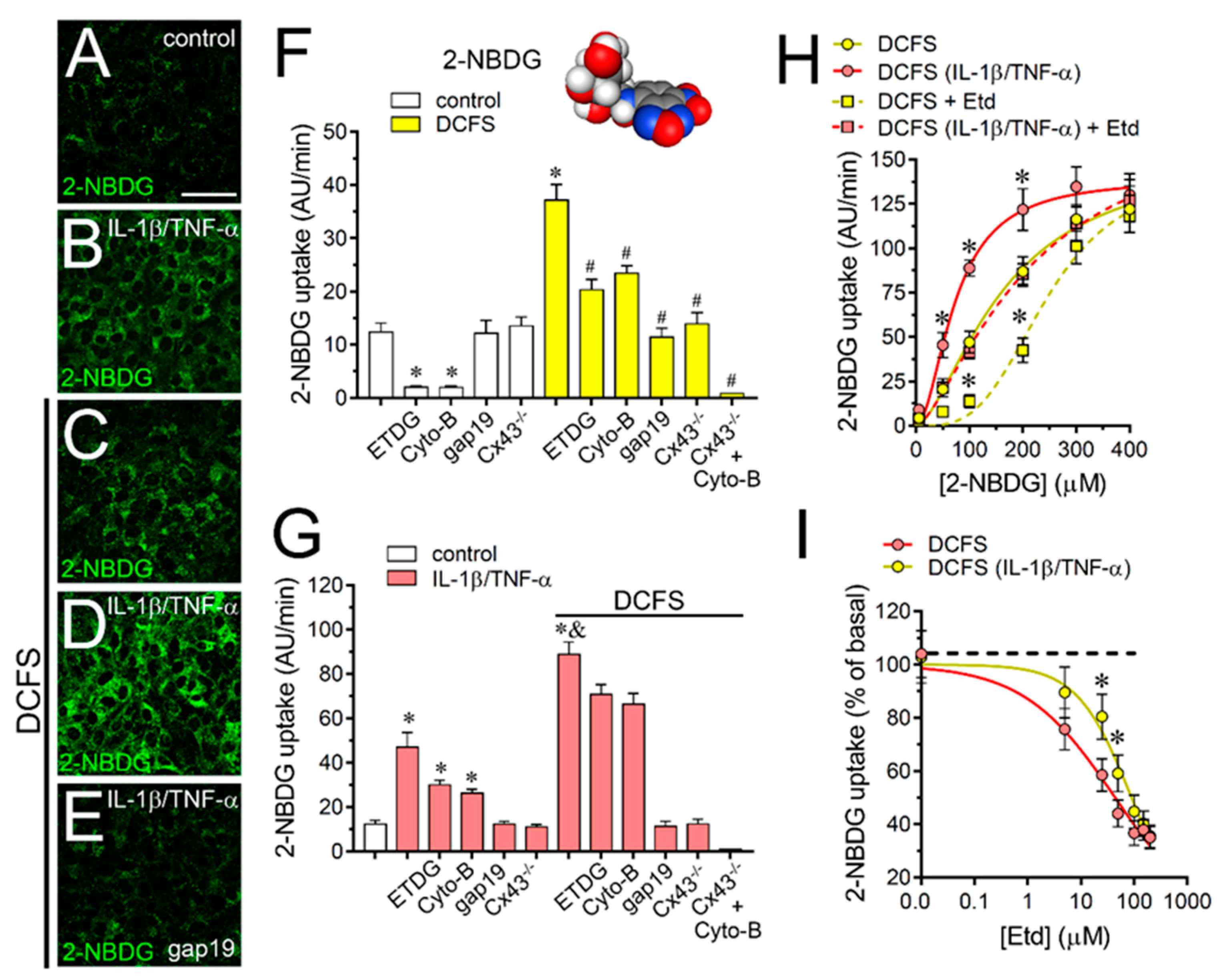 Ijms 21 03970 g006 Ijms 21 03970 g006