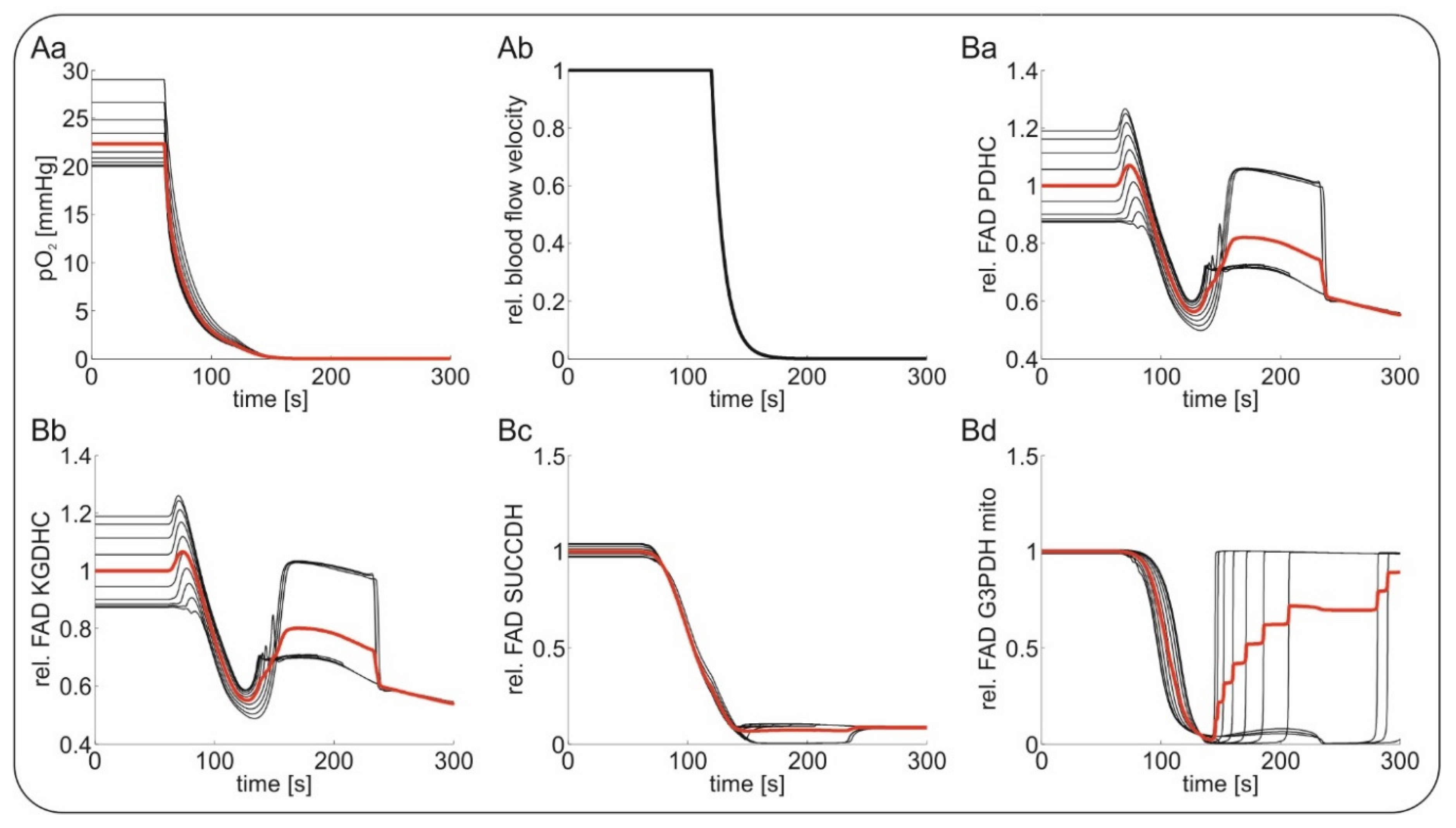 Ijms 21 03977 g006 Ijms 21 03977 g006