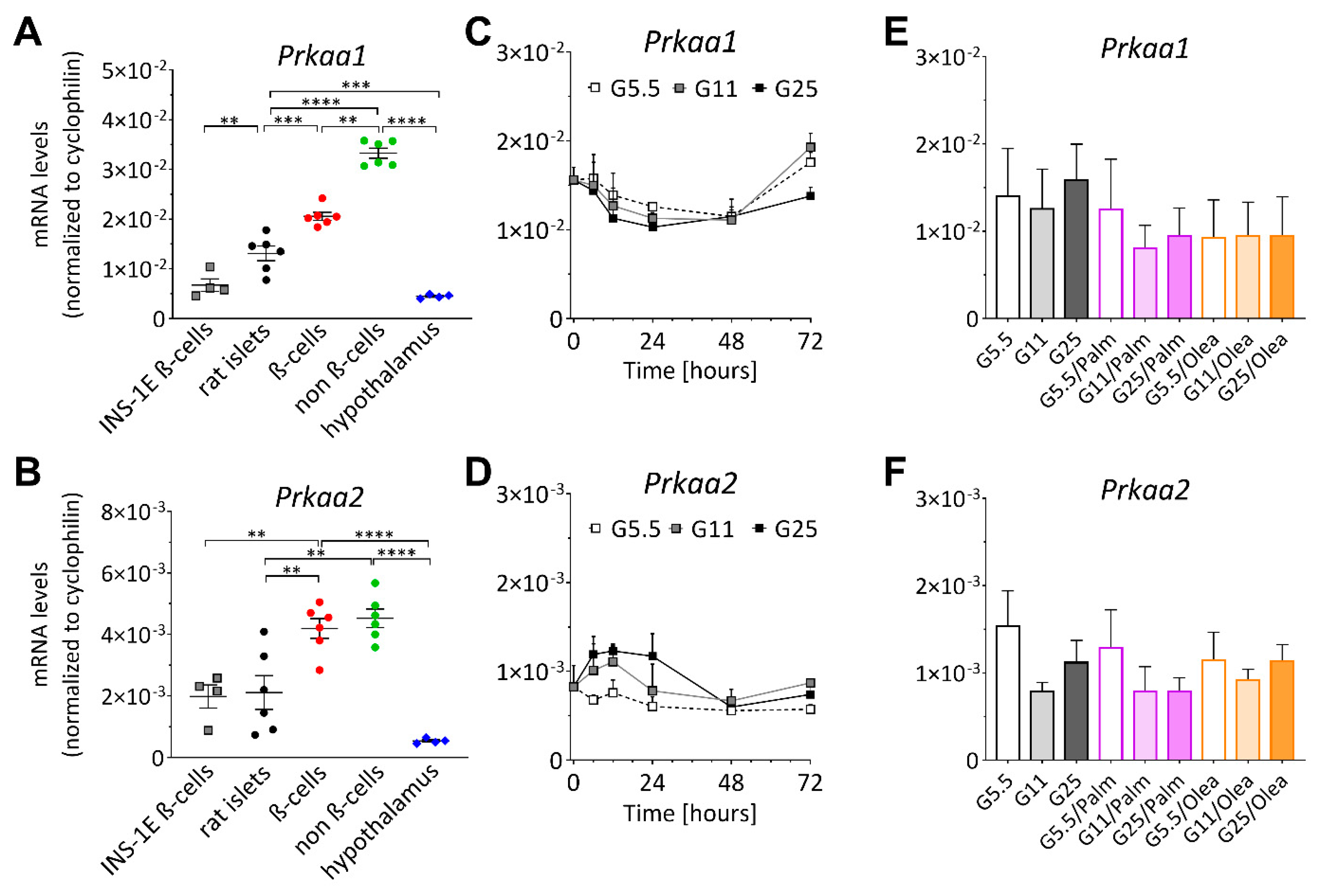 Ijms 21 03982 g002 Ijms 21 03982 g002