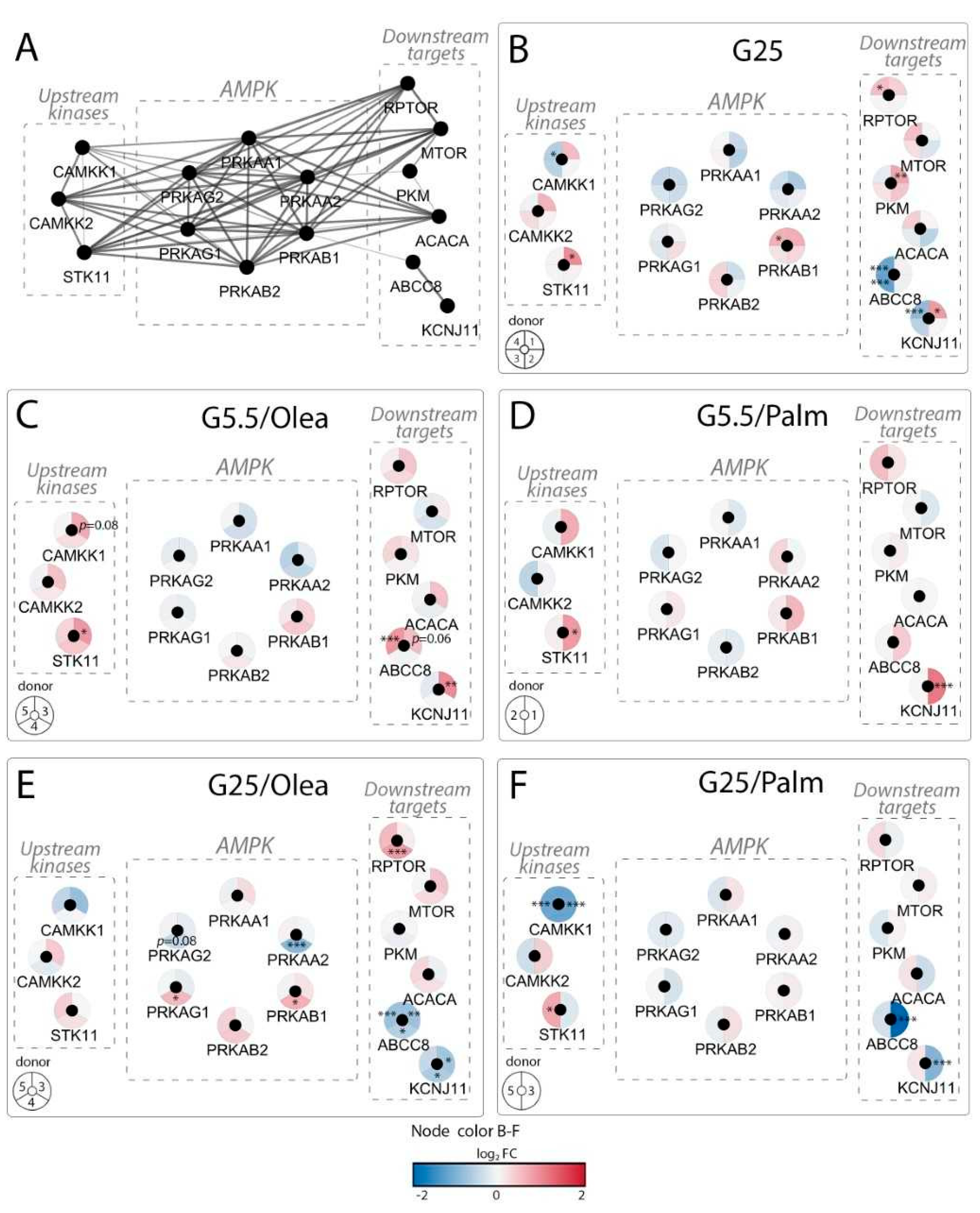 Ijms 21 03982 g003 Ijms 21 03982 g003