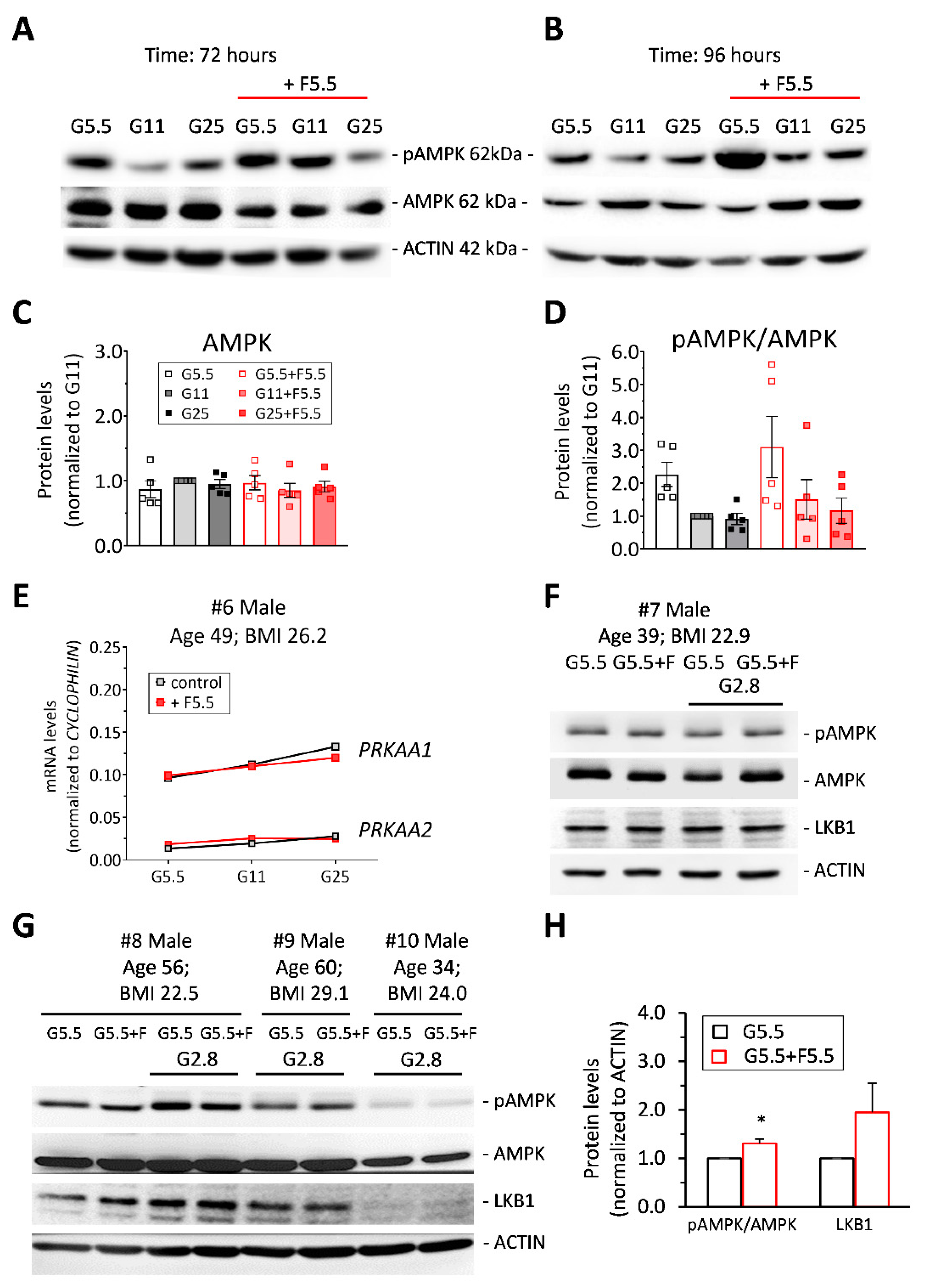Ijms 21 03982 g004 Ijms 21 03982 g004