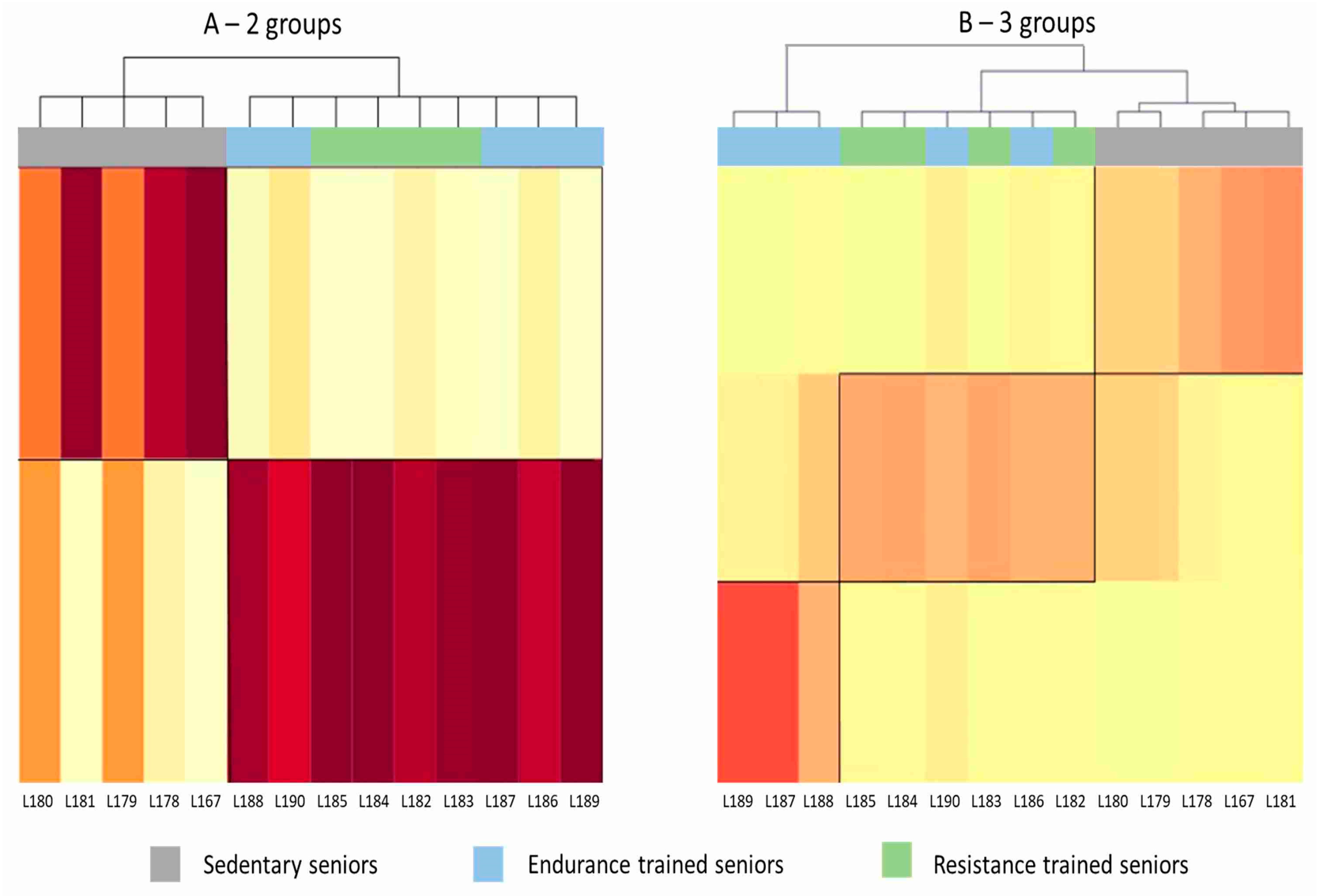 Ijms 21 03988 g001 Ijms 21 03988 g001