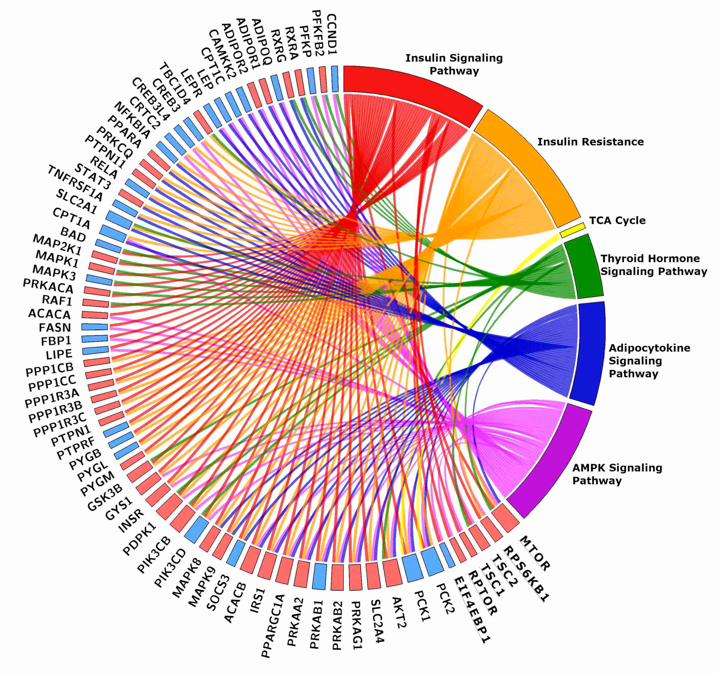 Ijms 21 03988 g002 Ijms 21 03988 g002