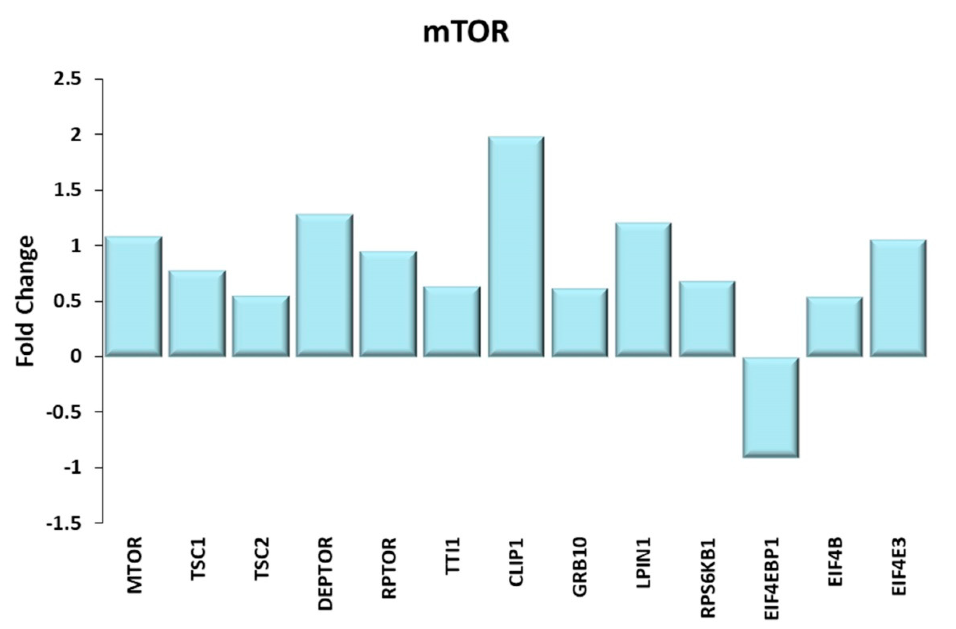 Ijms 21 03988 g006 Ijms 21 03988 g006