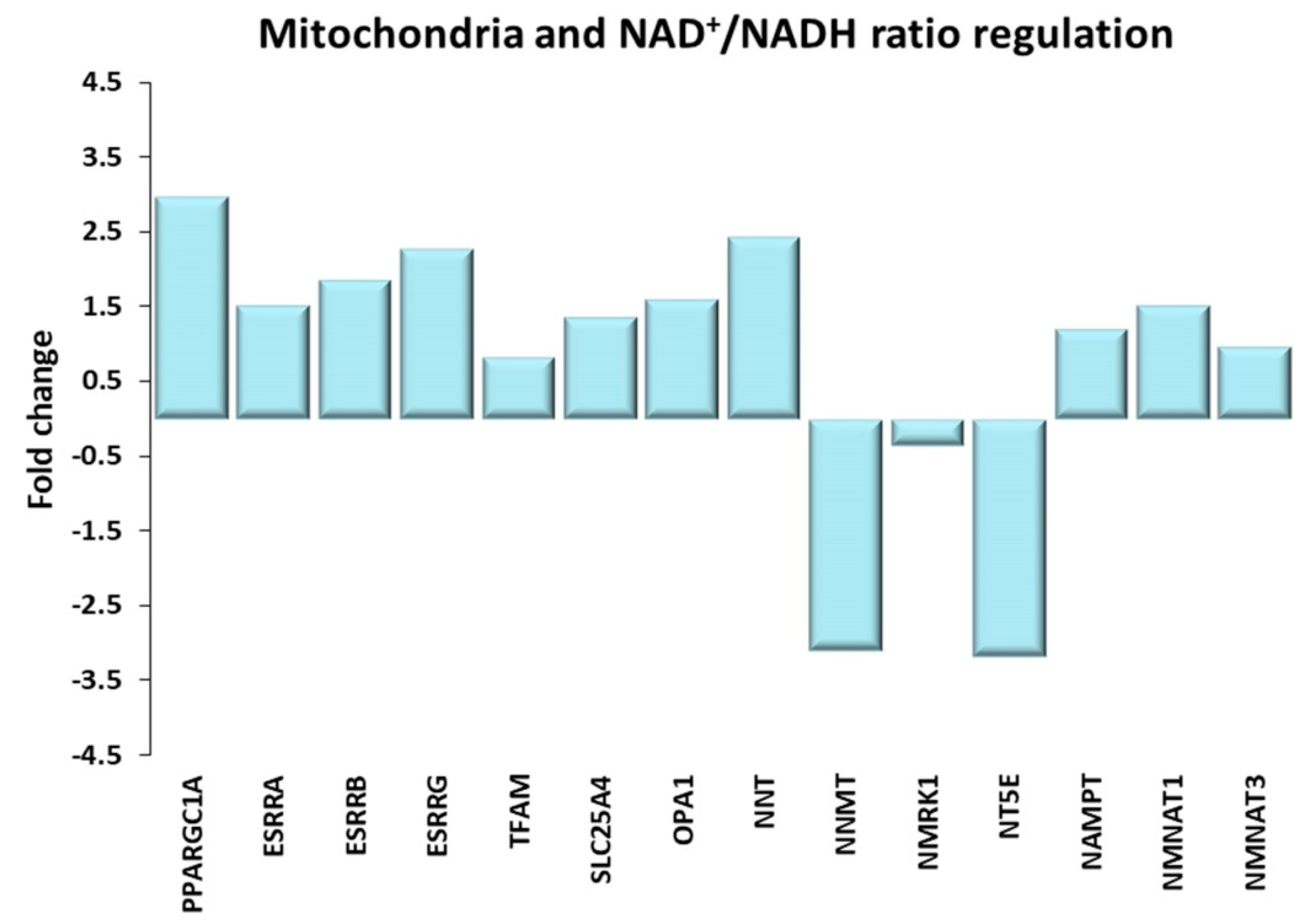 Ijms 21 03988 g007 Ijms 21 03988 g007