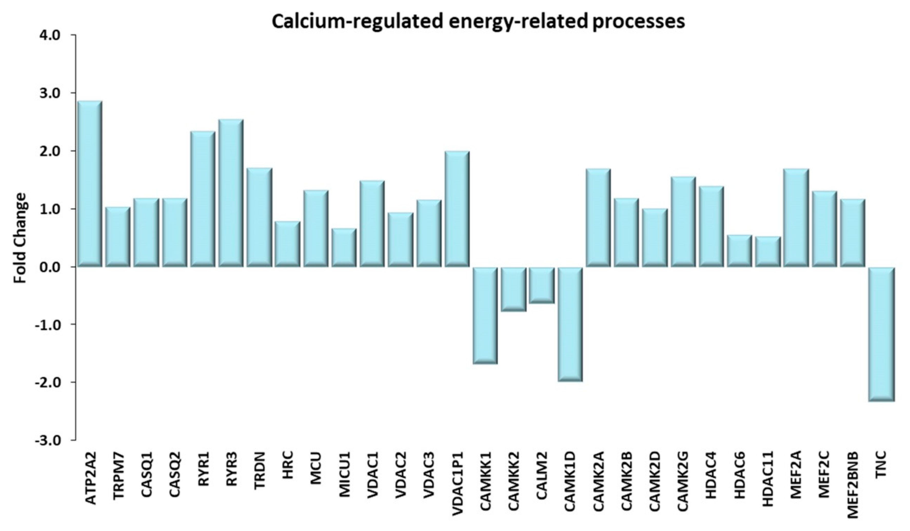 Ijms 21 03988 g008 Ijms 21 03988 g008