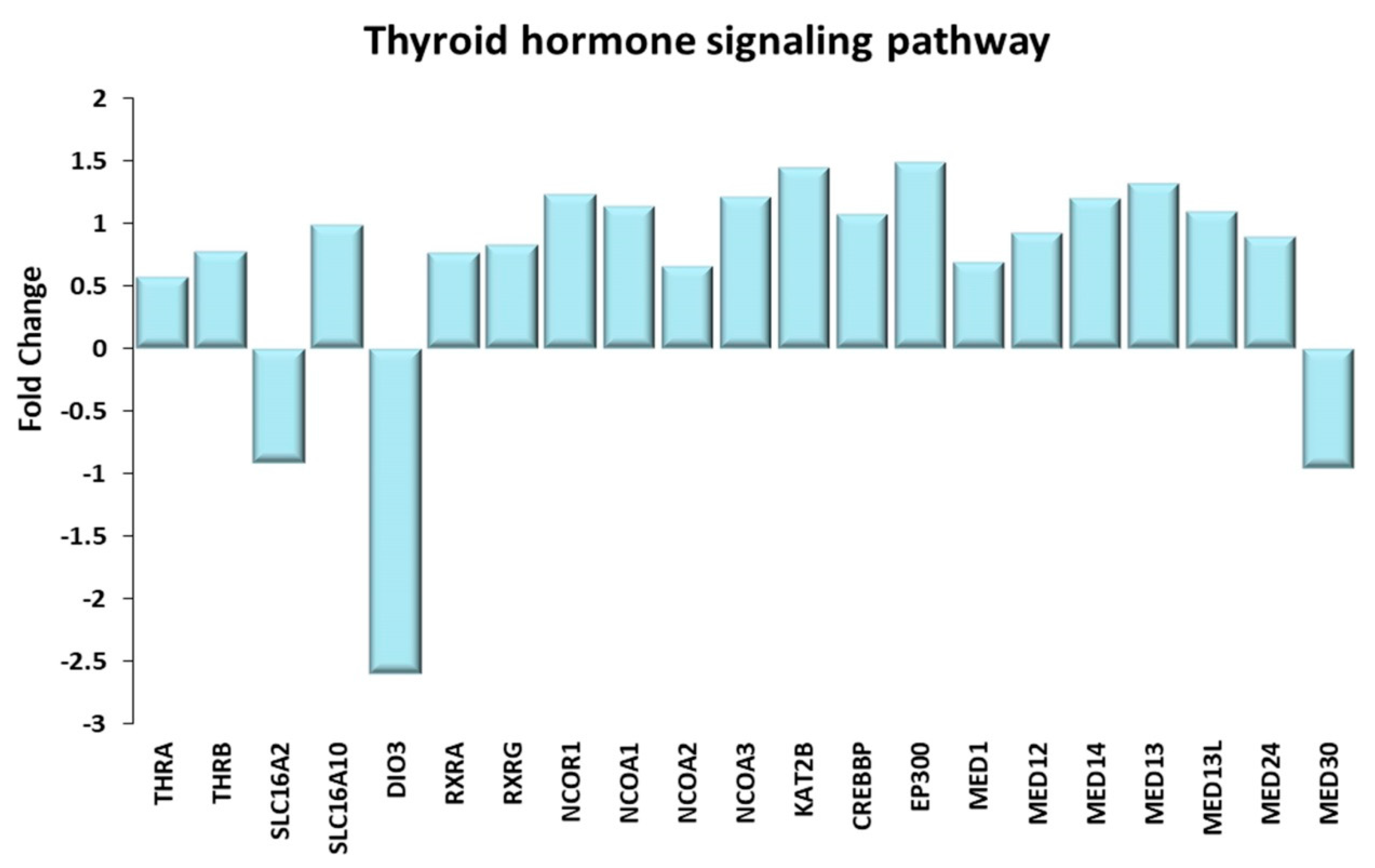 Ijms 21 03988 g009 Ijms 21 03988 g009