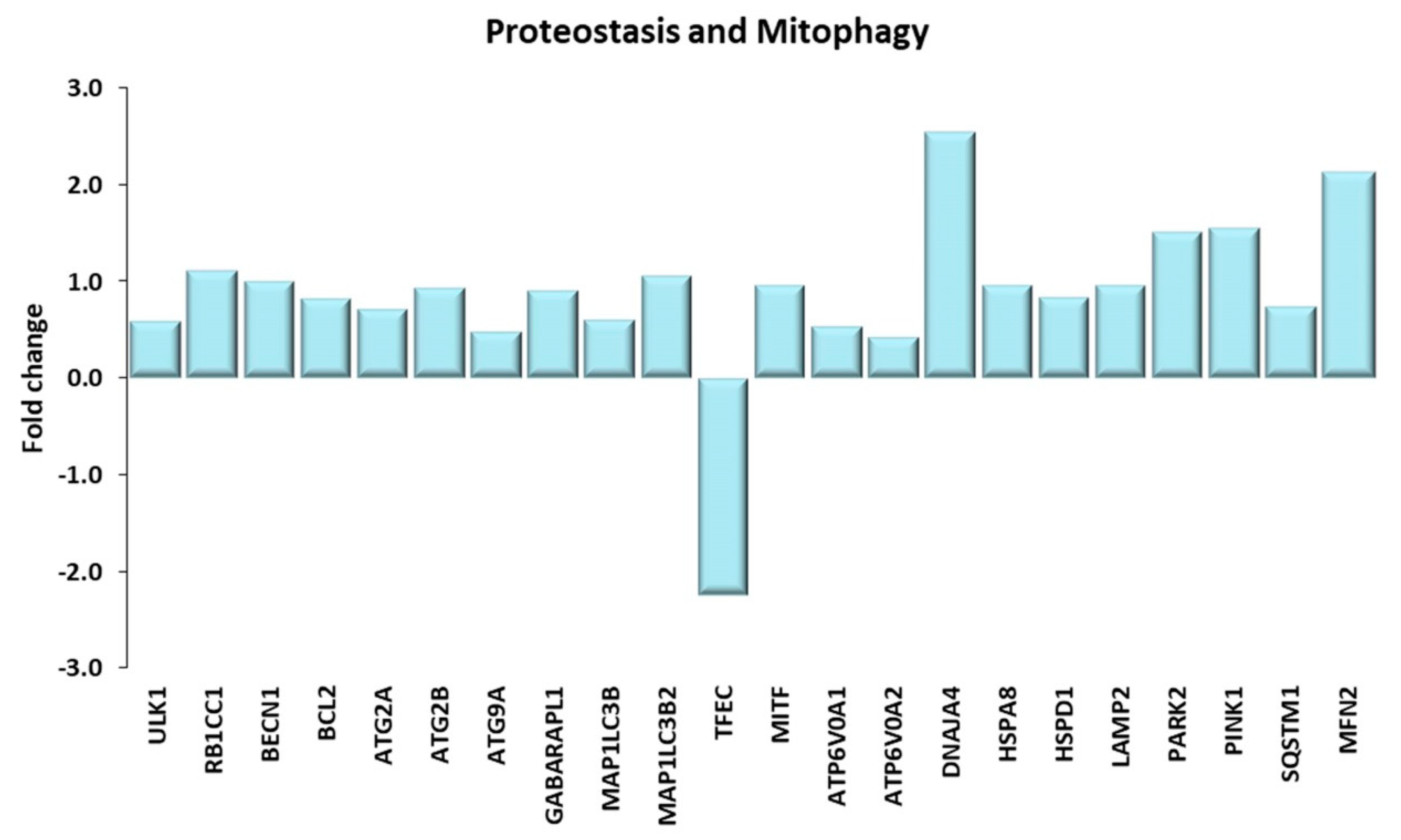 Ijms 21 03988 g010 Ijms 21 03988 g010