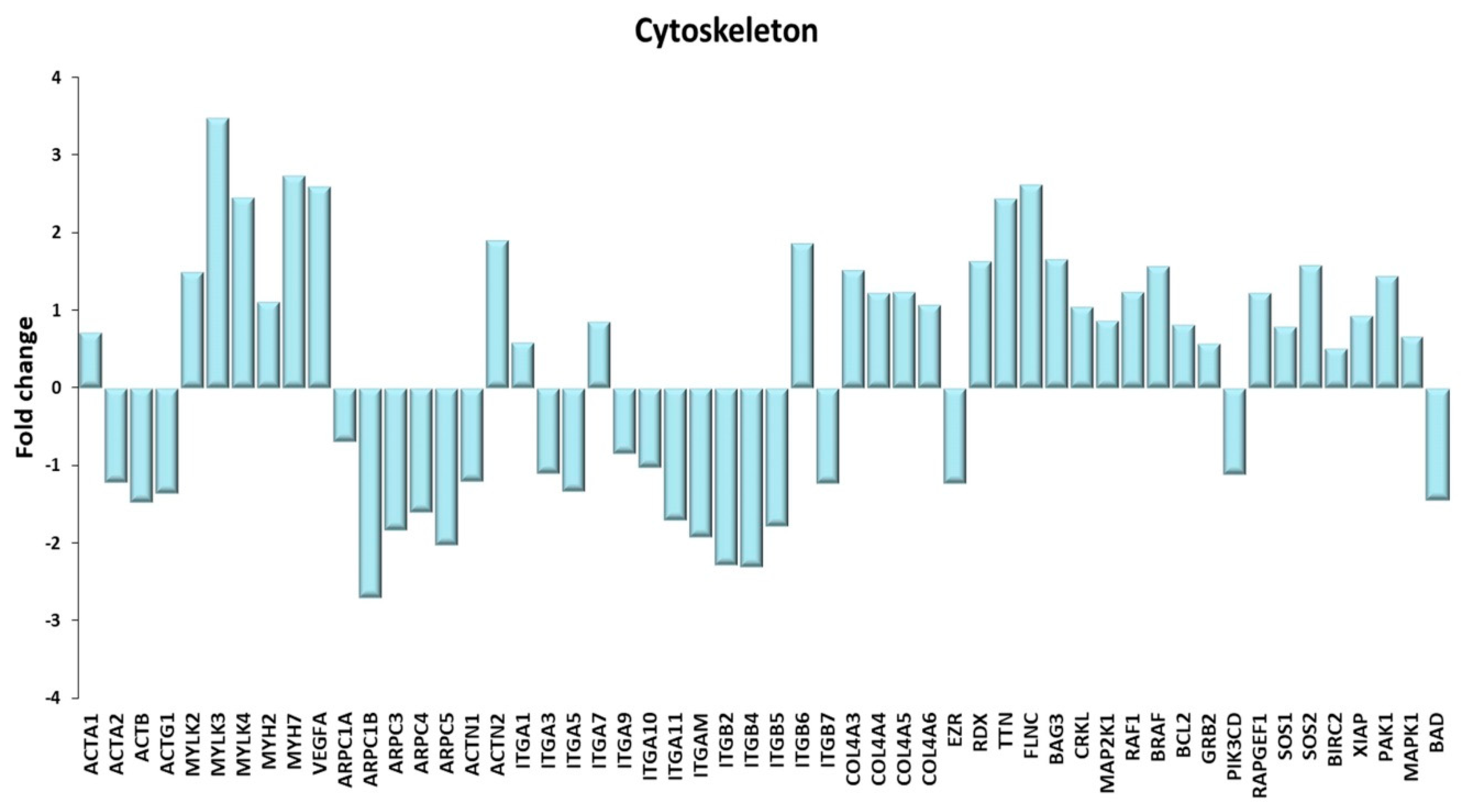 Ijms 21 03988 g011 Ijms 21 03988 g011