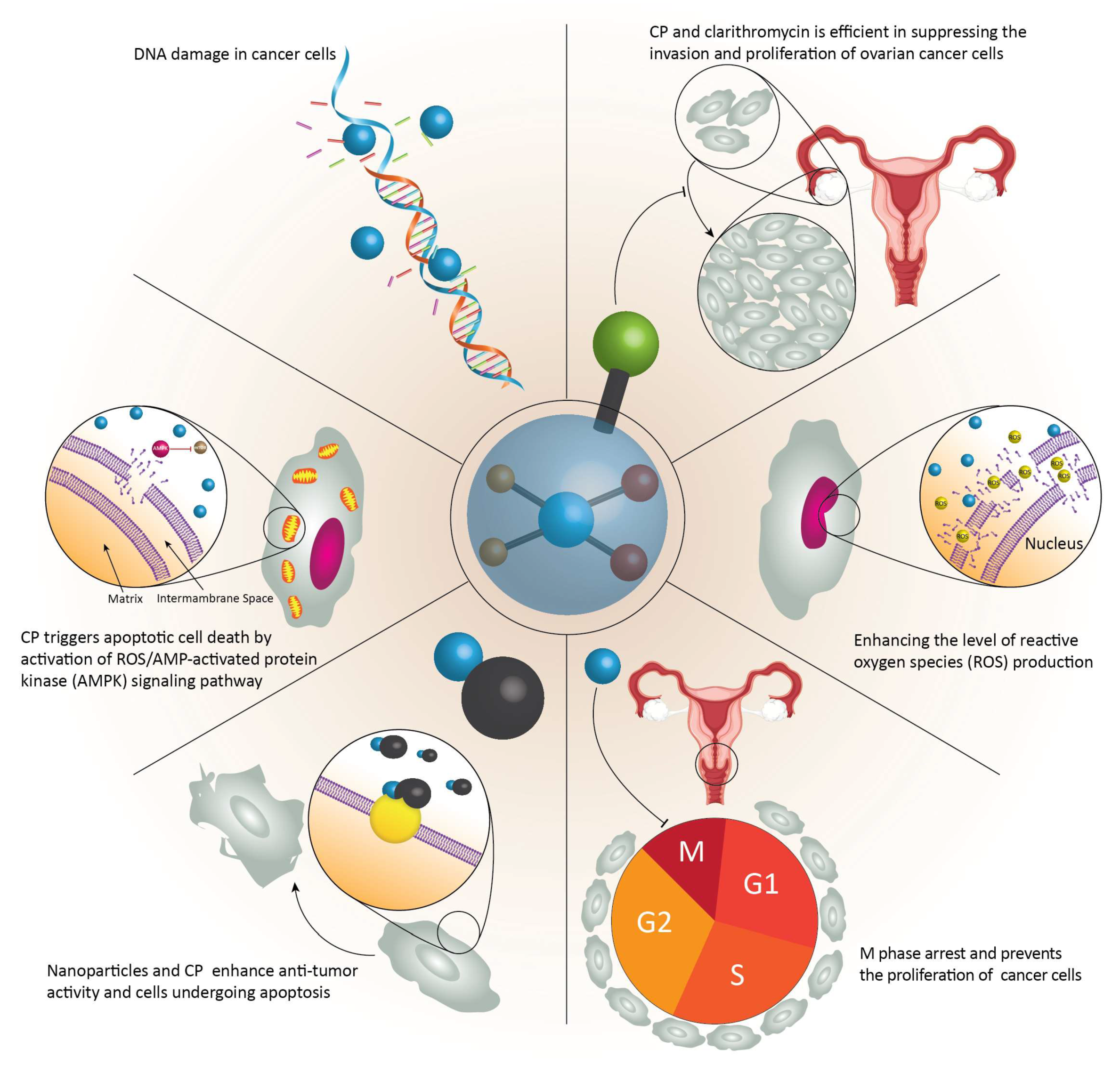 Ijms 21 04002 g001 Ijms 21 04002 g001