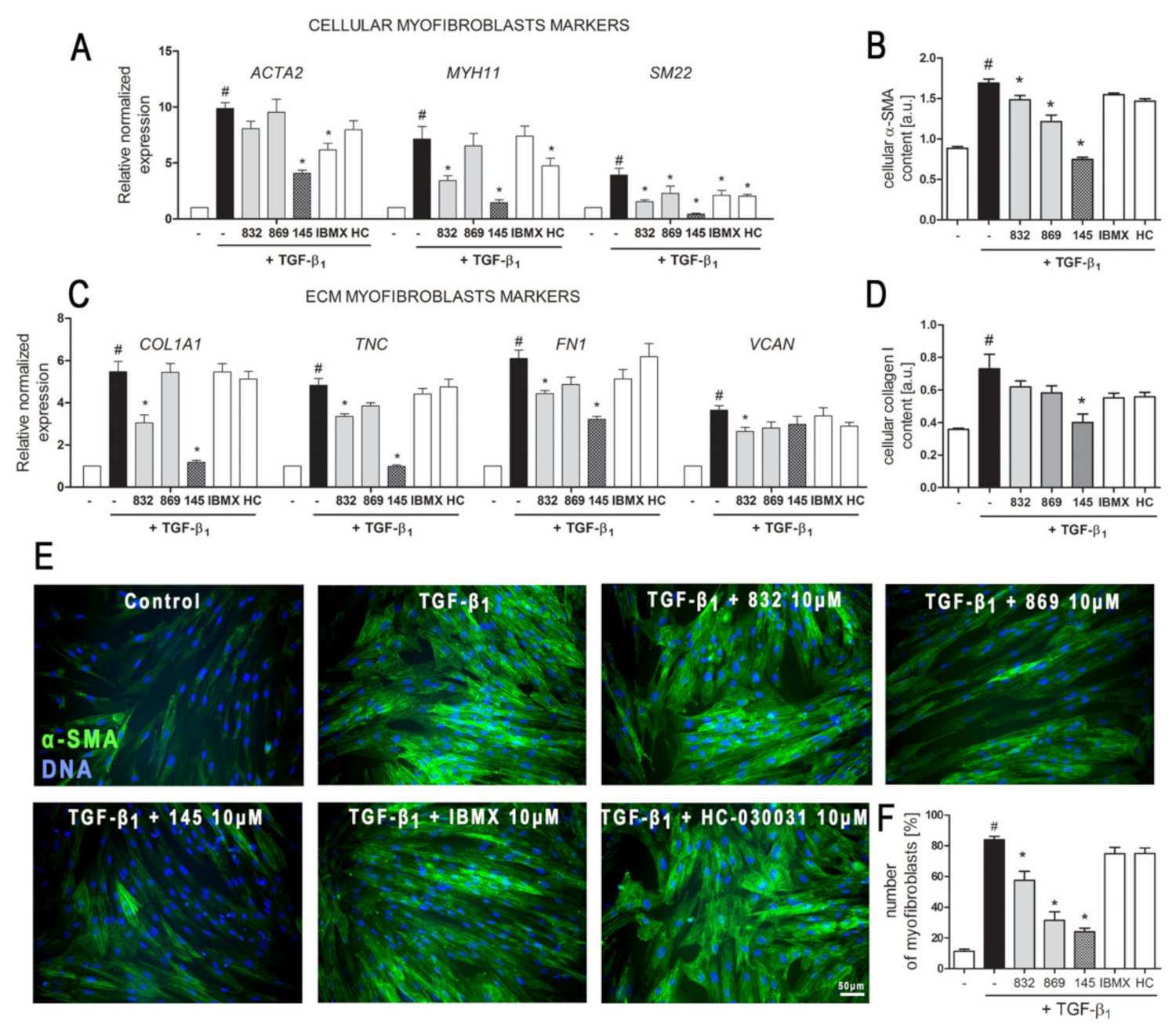 Ijms 21 04008 g003 Ijms 21 04008 g003