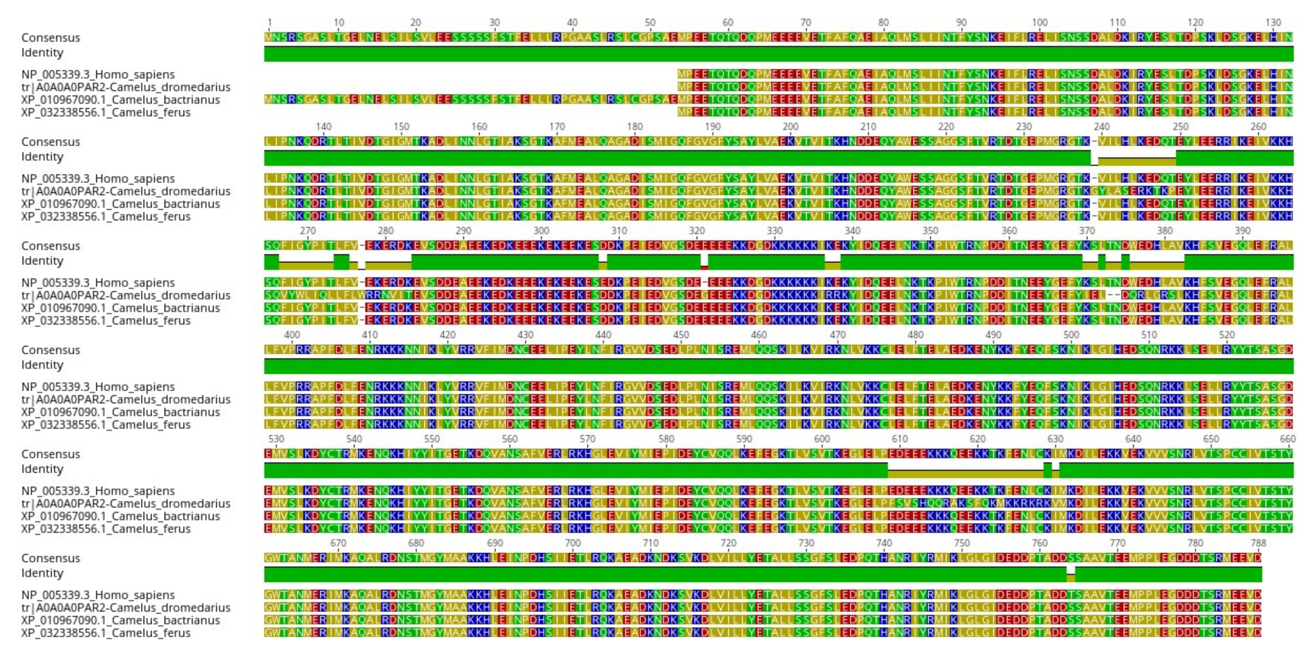 Ijms 21 04010 g003 Ijms 21 04010 g003