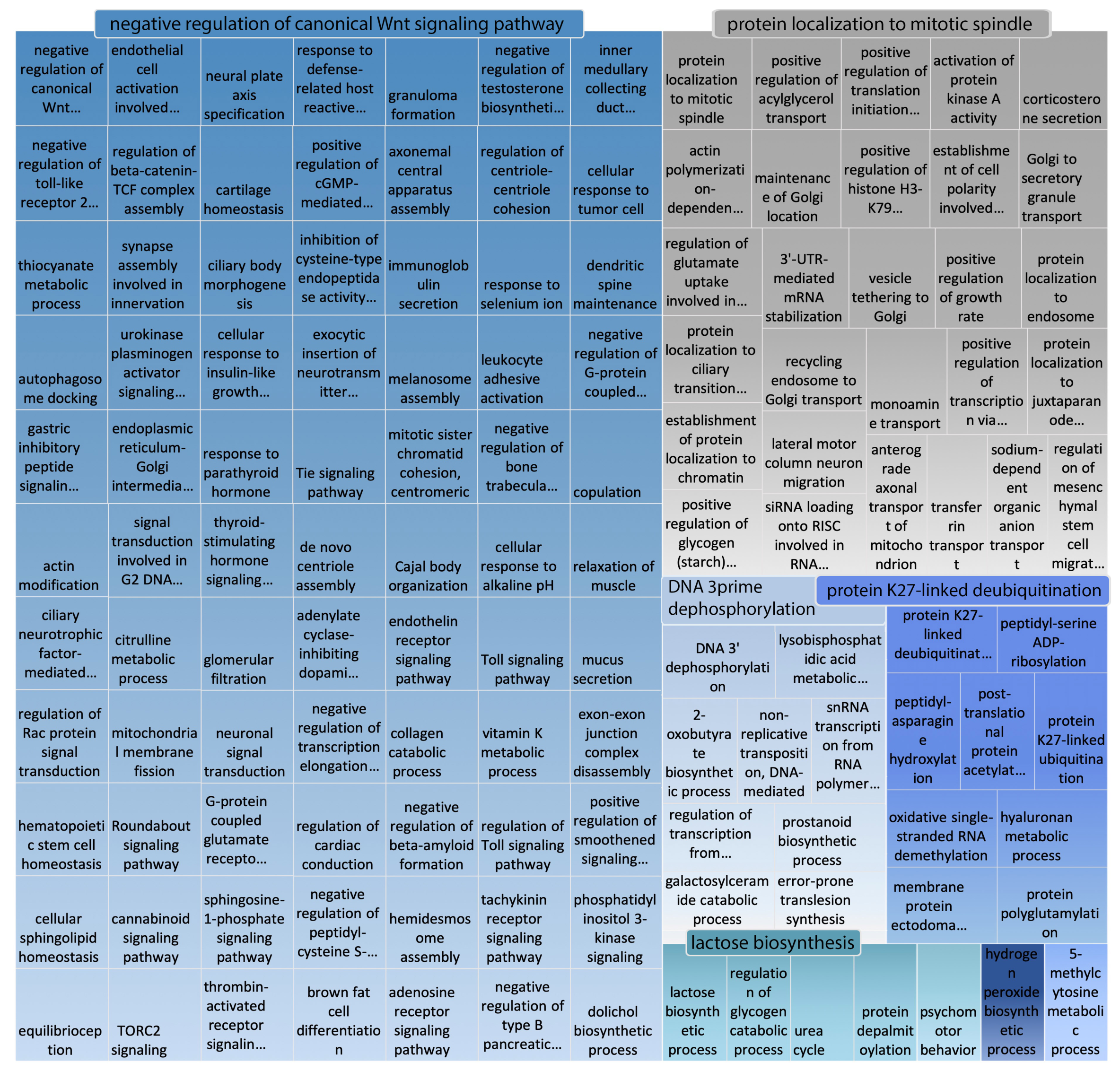 Ijms 21 04010 g005 Ijms 21 04010 g005