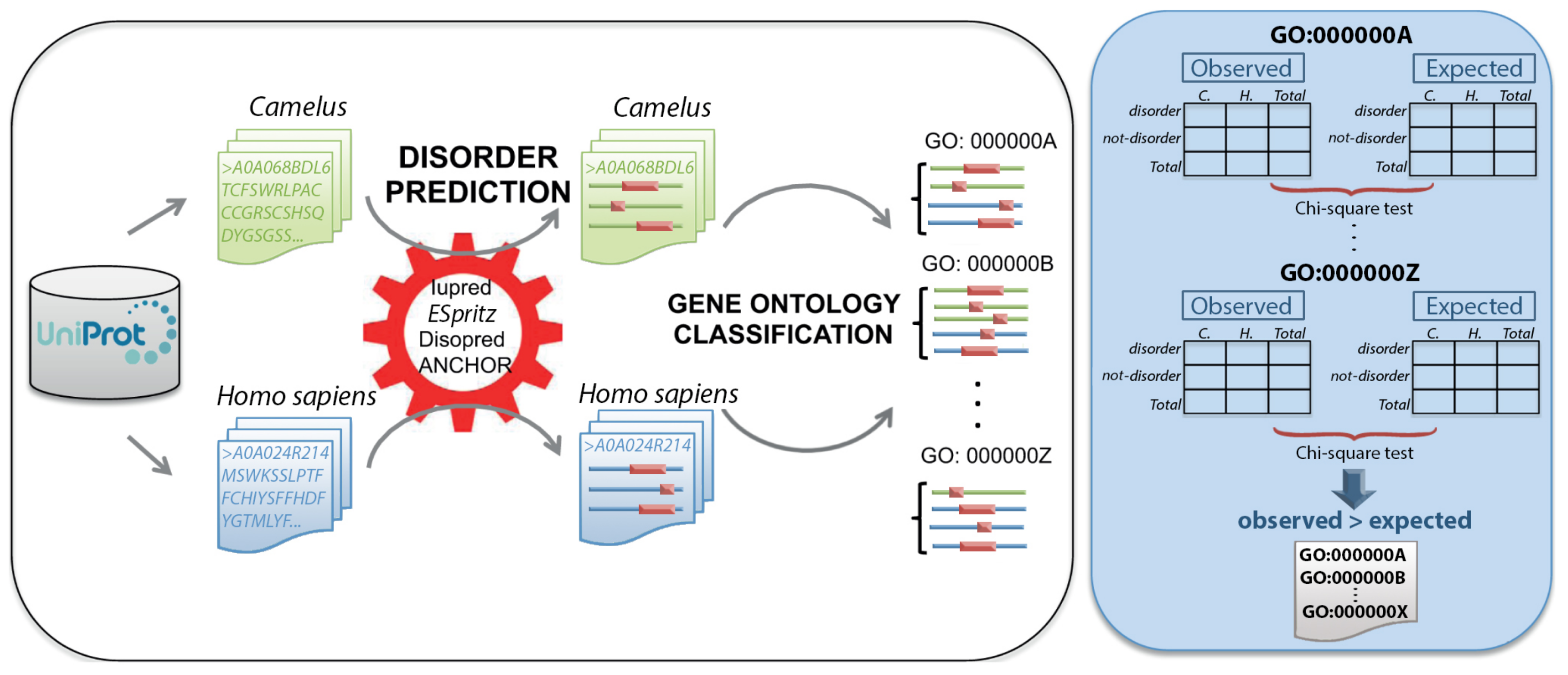 Ijms 21 04010 g008 Ijms 21 04010 g008