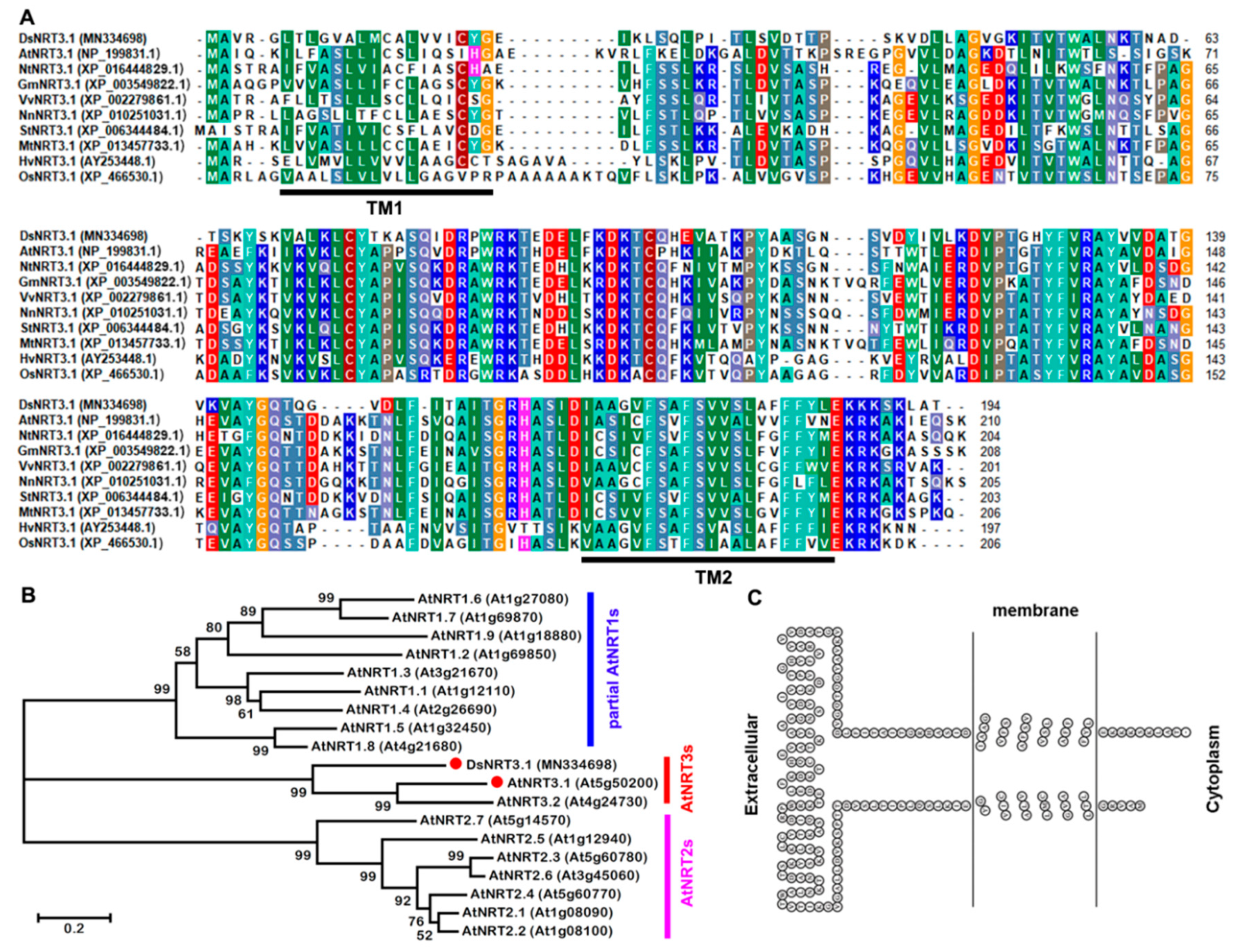 Ijms 21 04027 g001 Ijms 21 04027 g001