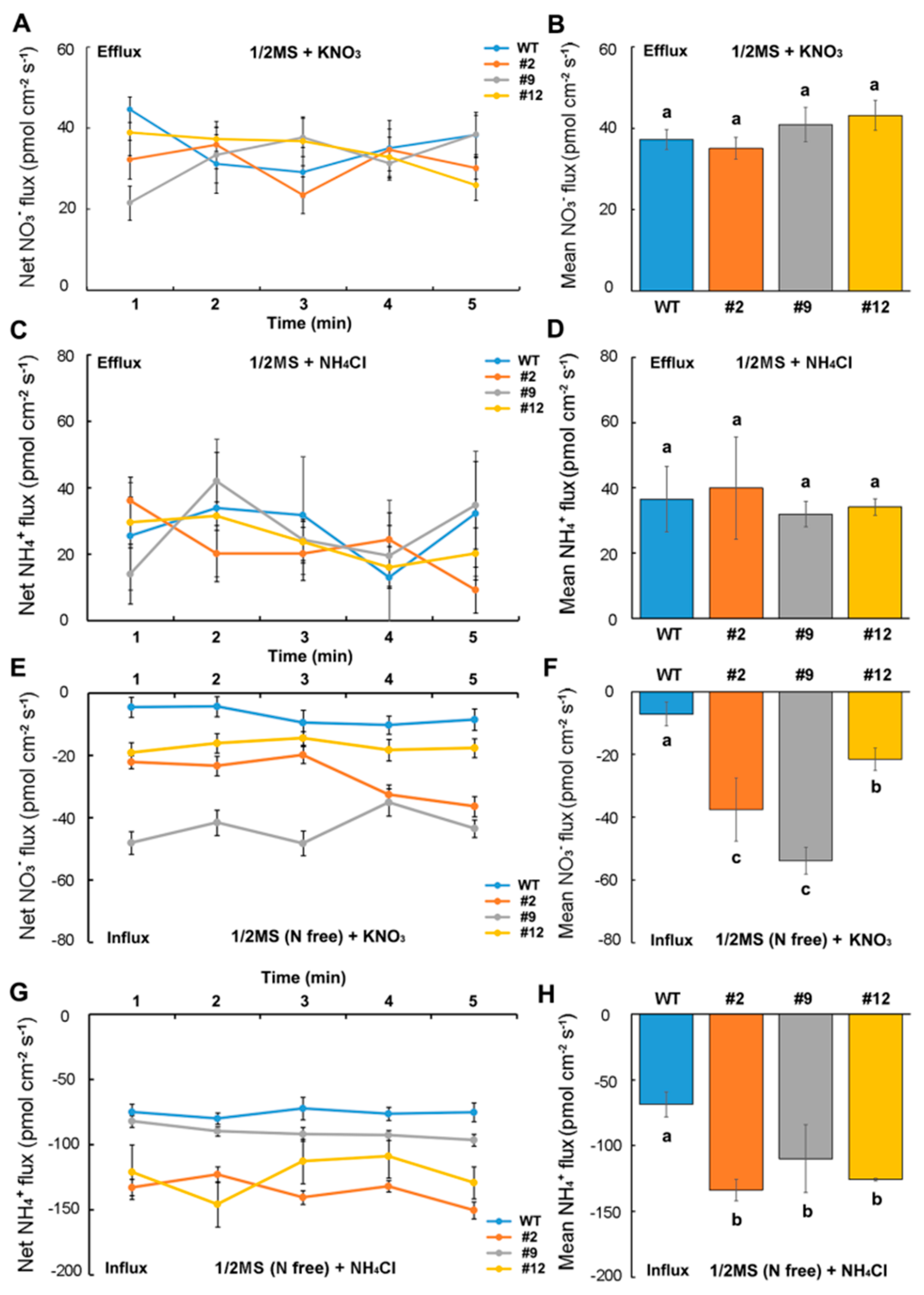 Ijms 21 04027 g006 Ijms 21 04027 g006