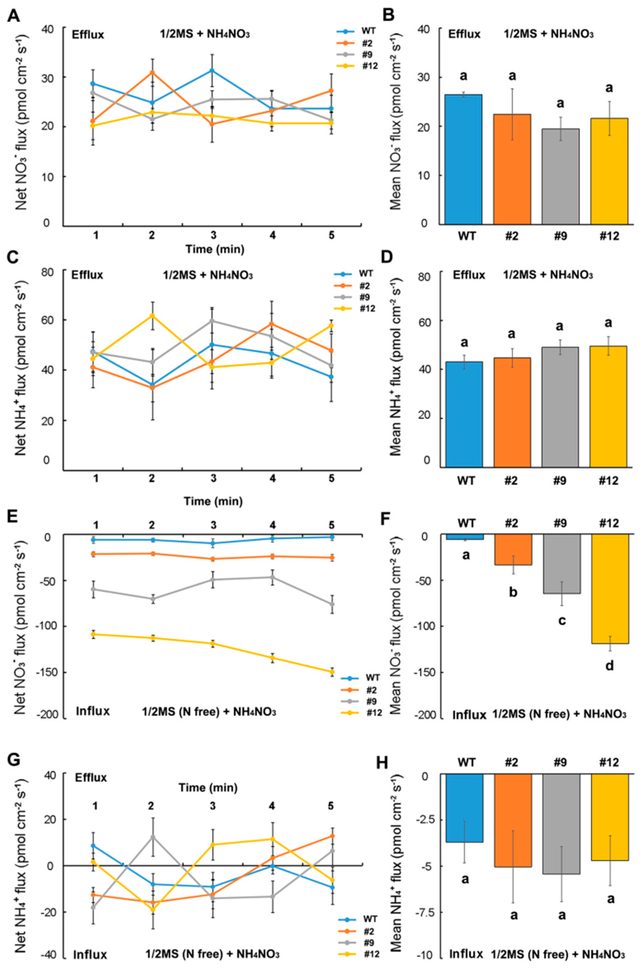 Ijms 21 04027 g007 Ijms 21 04027 g007
