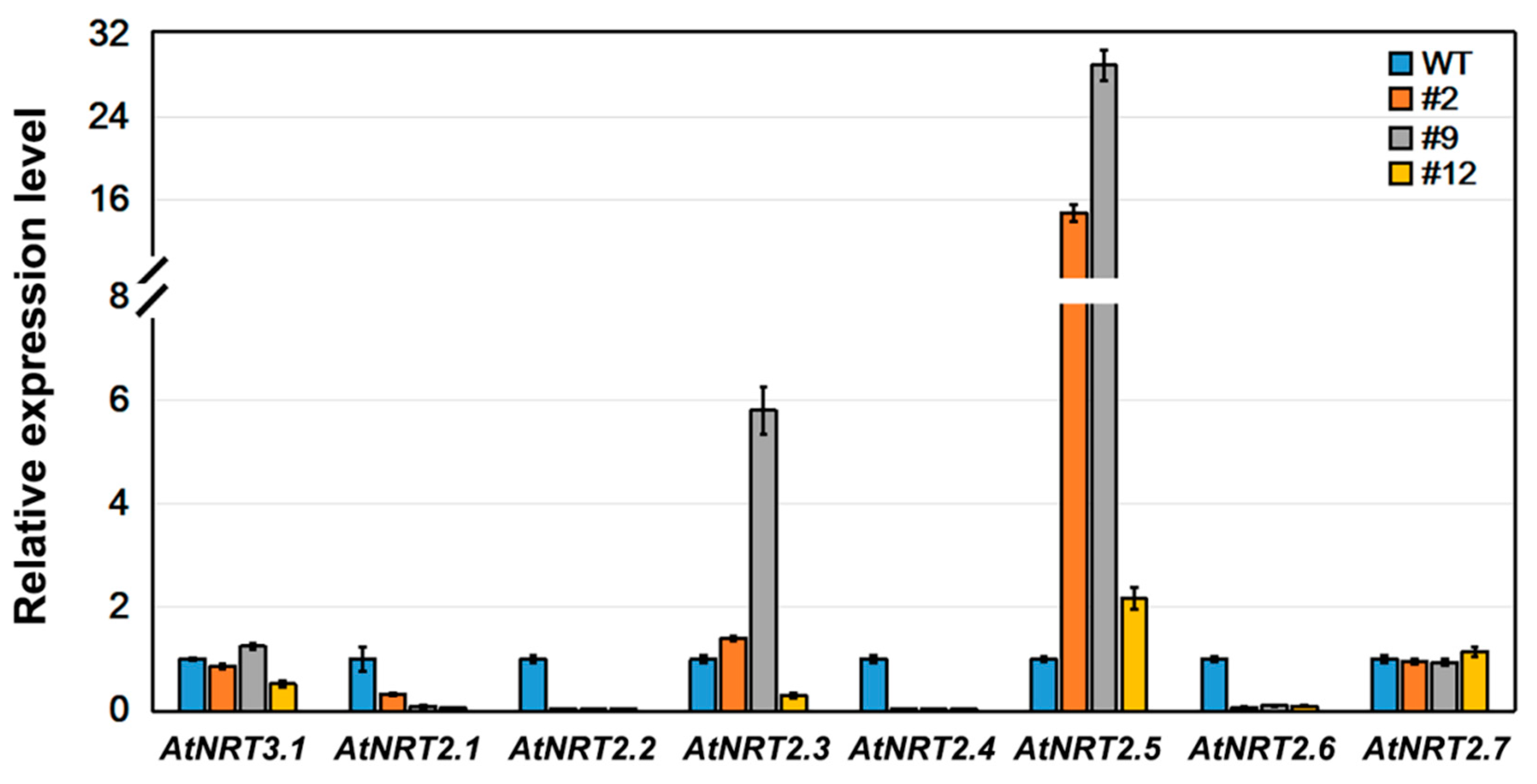 Ijms 21 04027 g008 Ijms 21 04027 g008
