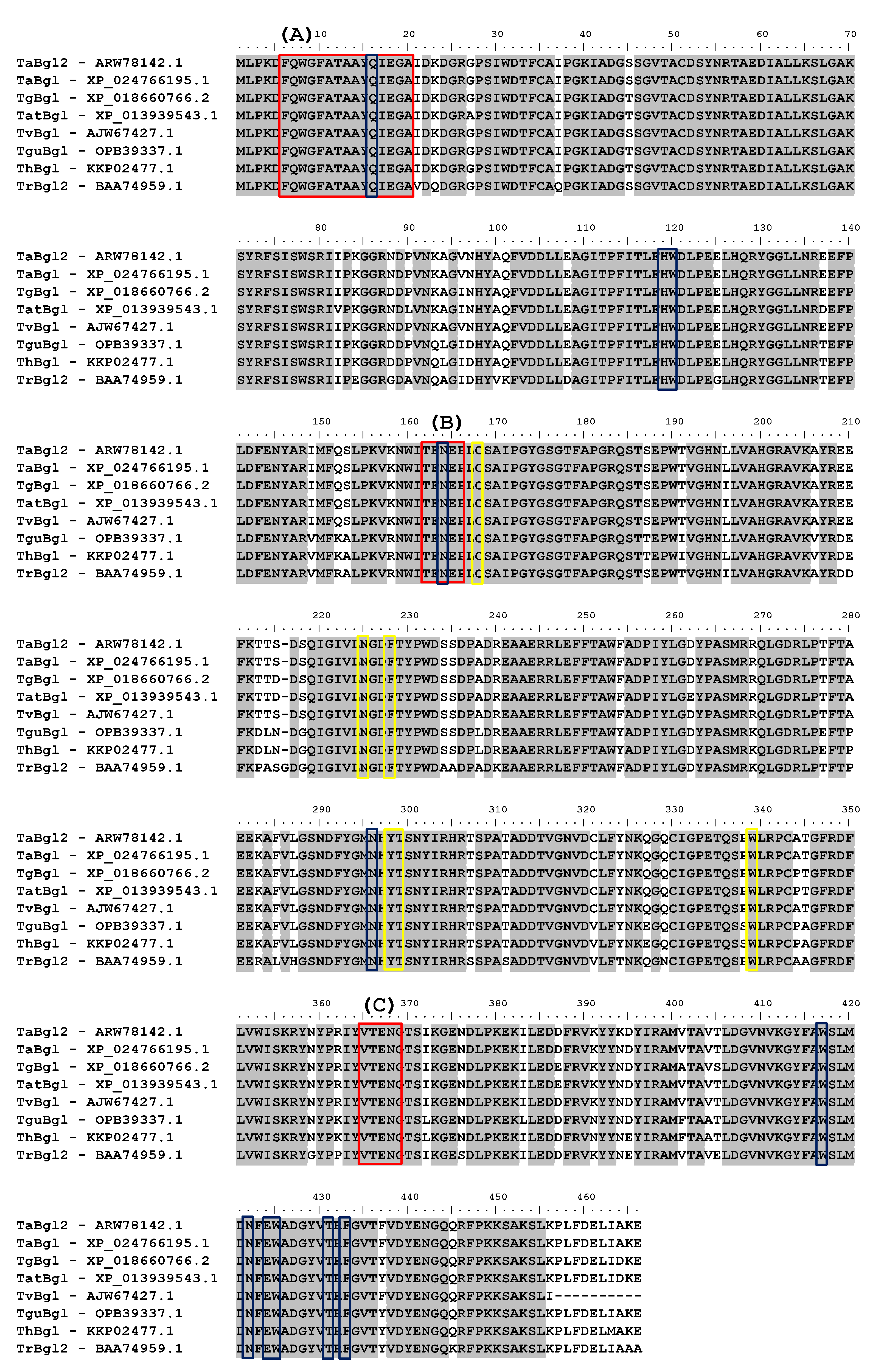 Ijms 21 04035 g001 Ijms 21 04035 g001