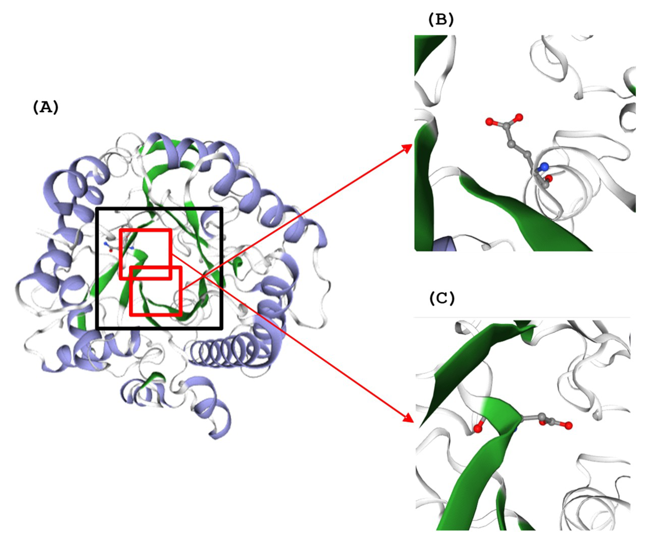Ijms 21 04035 g003 Ijms 21 04035 g003