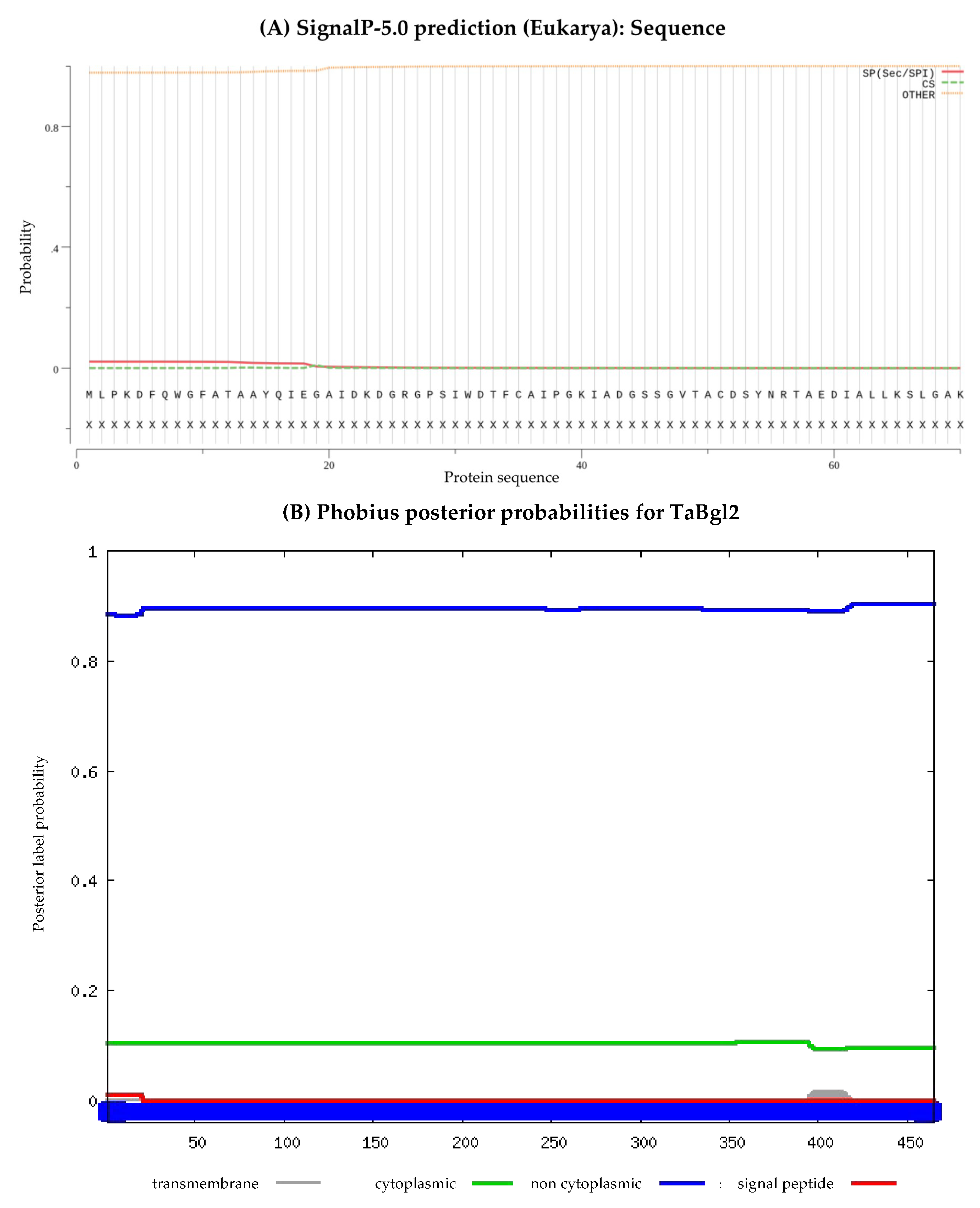 Ijms 21 04035 g004a Ijms 21 04035 g004a
