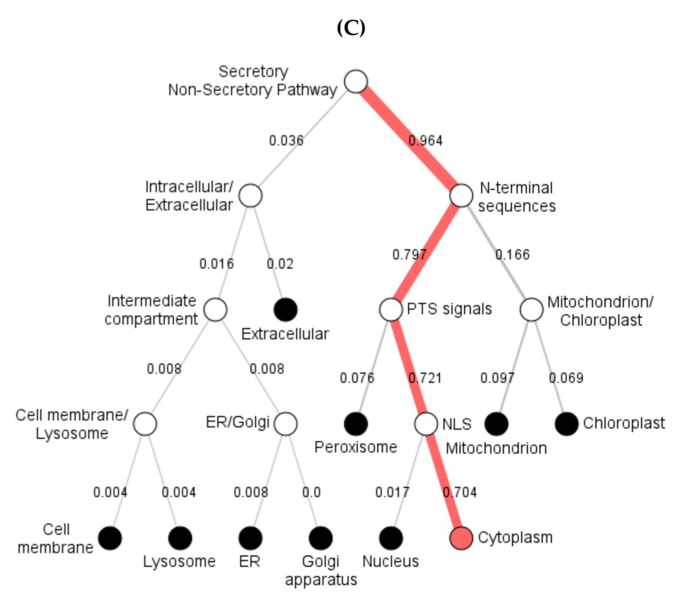 Ijms 21 04035 g004b Ijms 21 04035 g004b