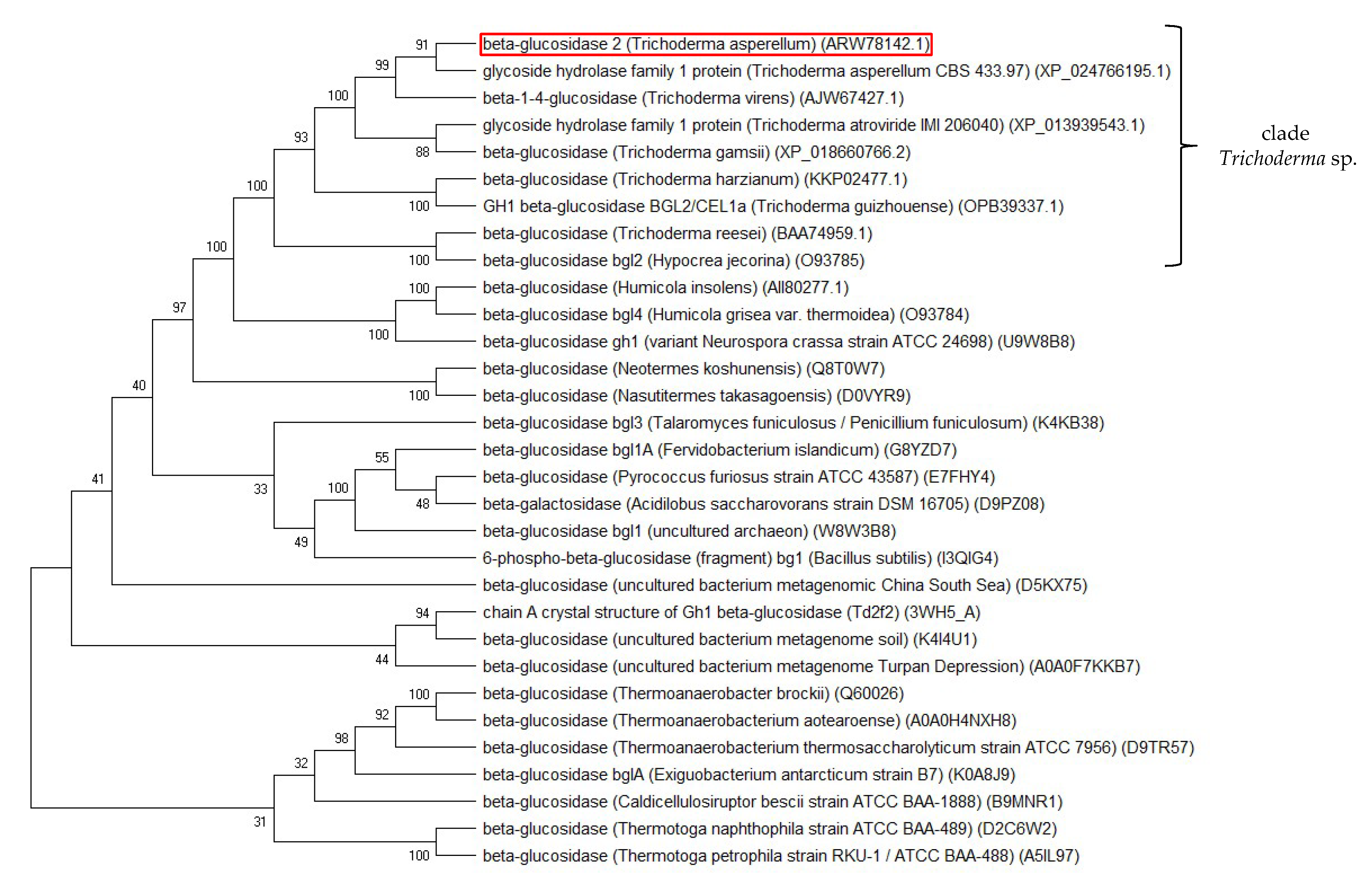Ijms 21 04035 g006 Ijms 21 04035 g006