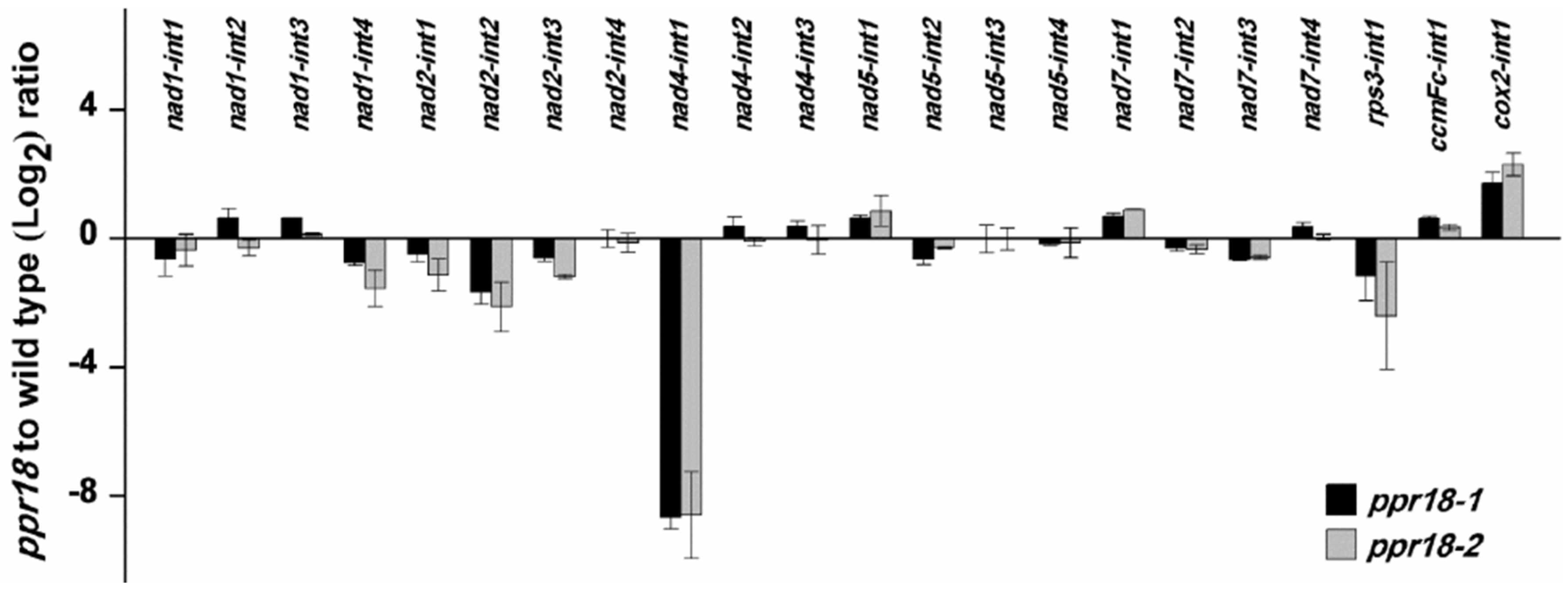 Ijms 21 04047 g007 Ijms 21 04047 g007