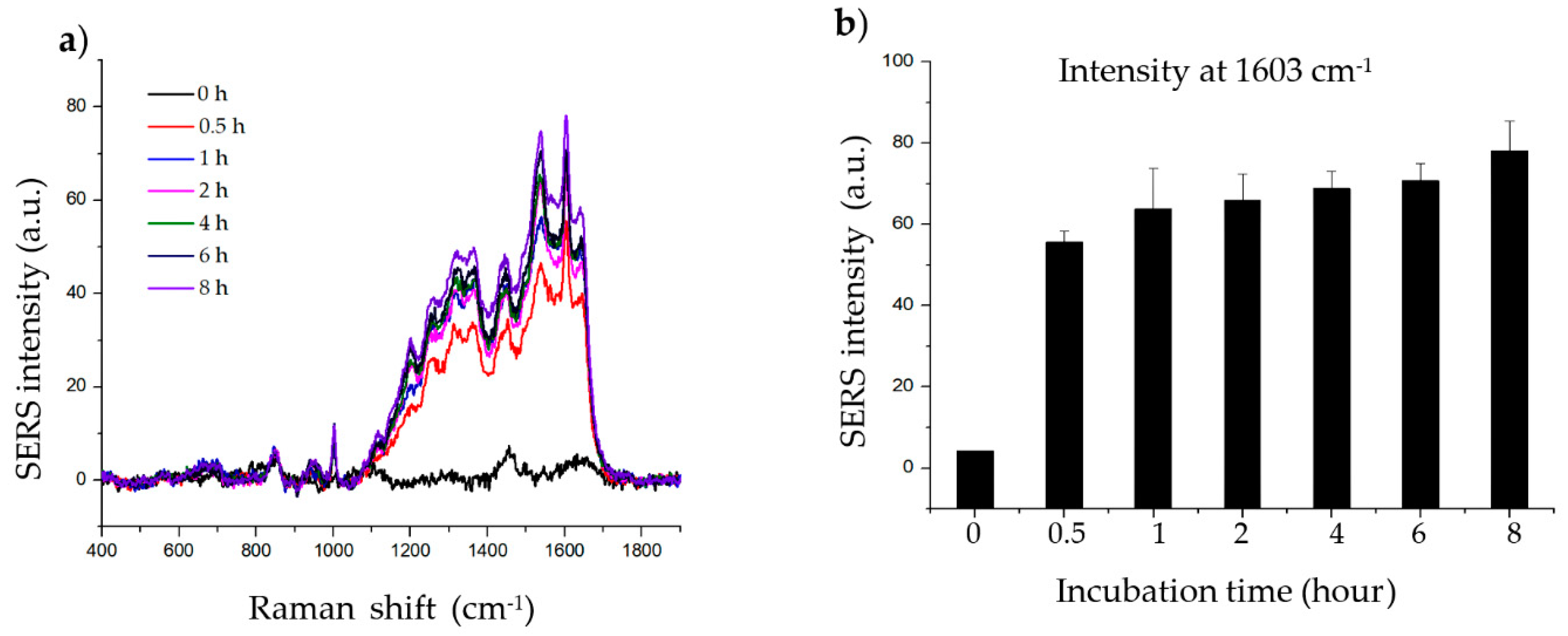Ijms 21 04048 g003 Ijms 21 04048 g003