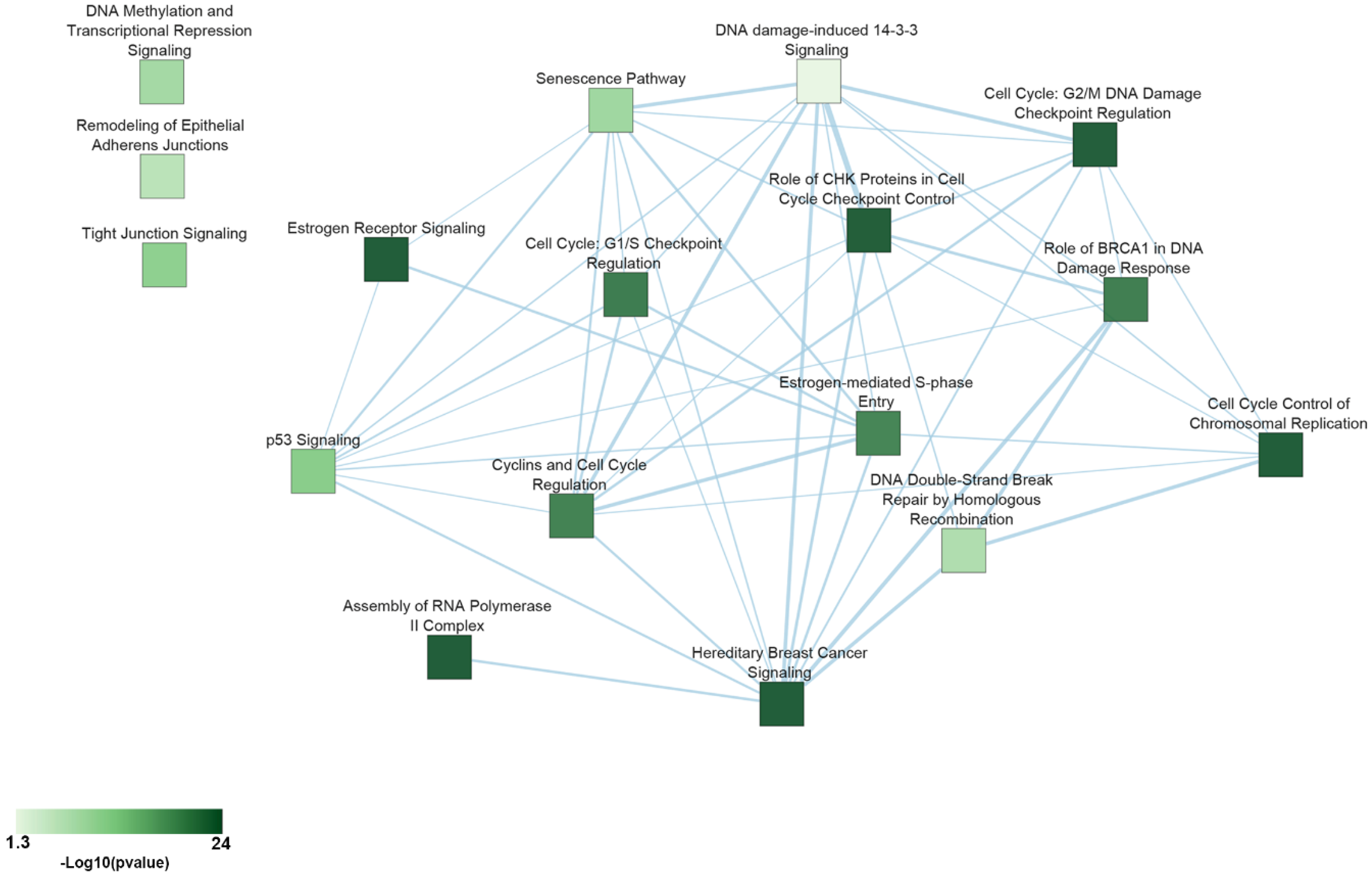 Ijms 21 04068 g002 Ijms 21 04068 g002