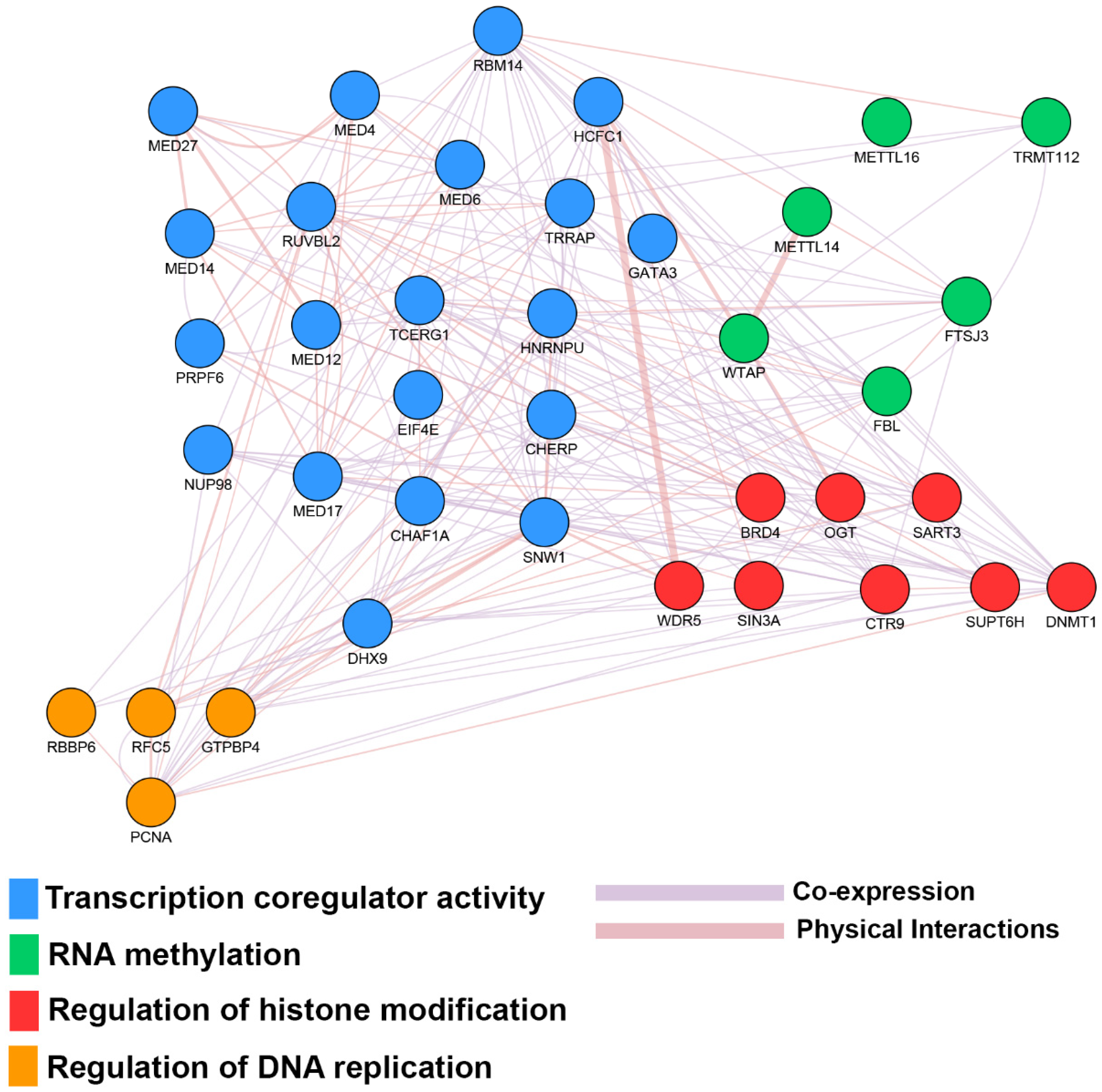 Ijms 21 04068 g003 Ijms 21 04068 g003