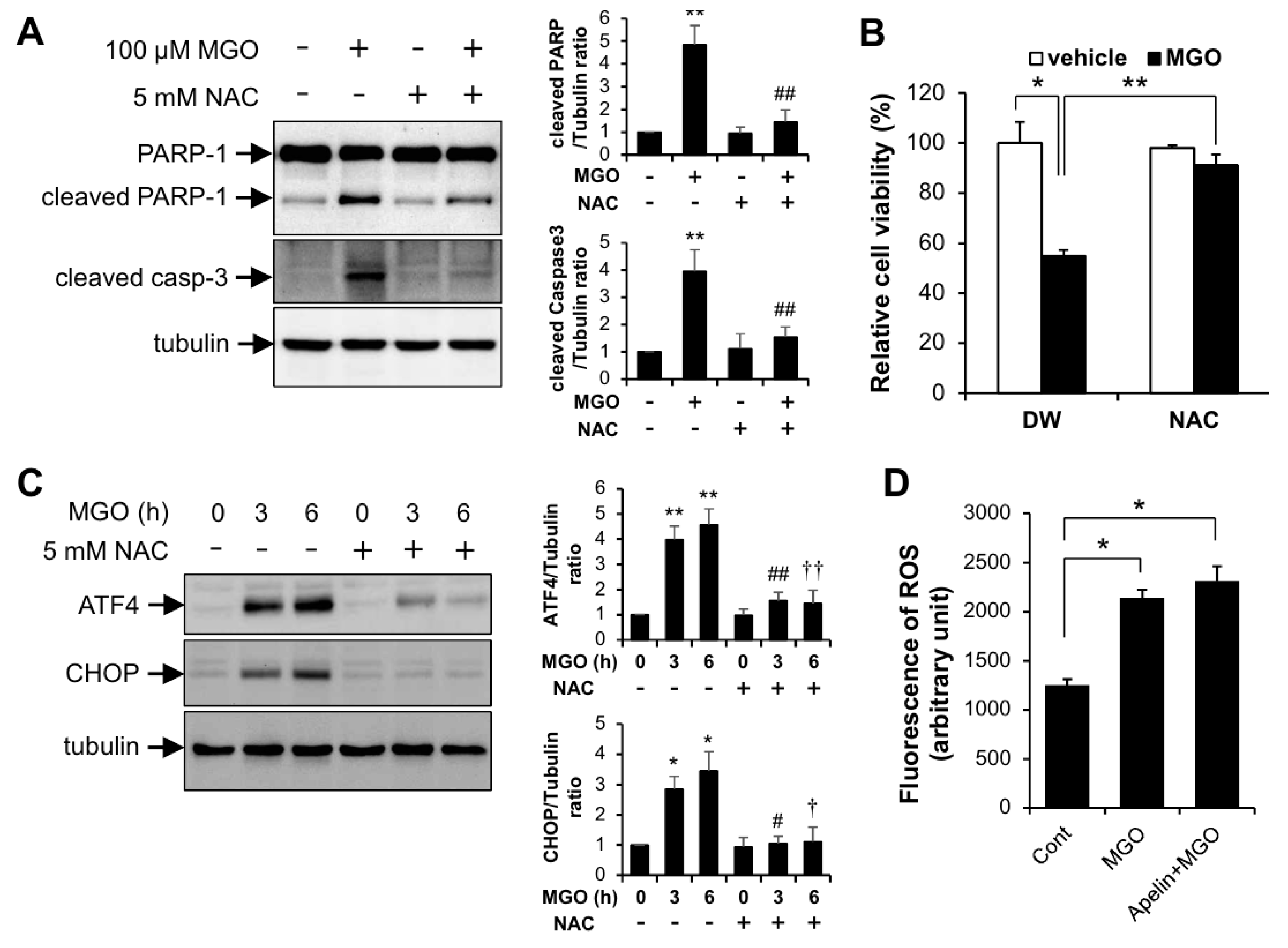Ijms 21 04069 g004 Ijms 21 04069 g004