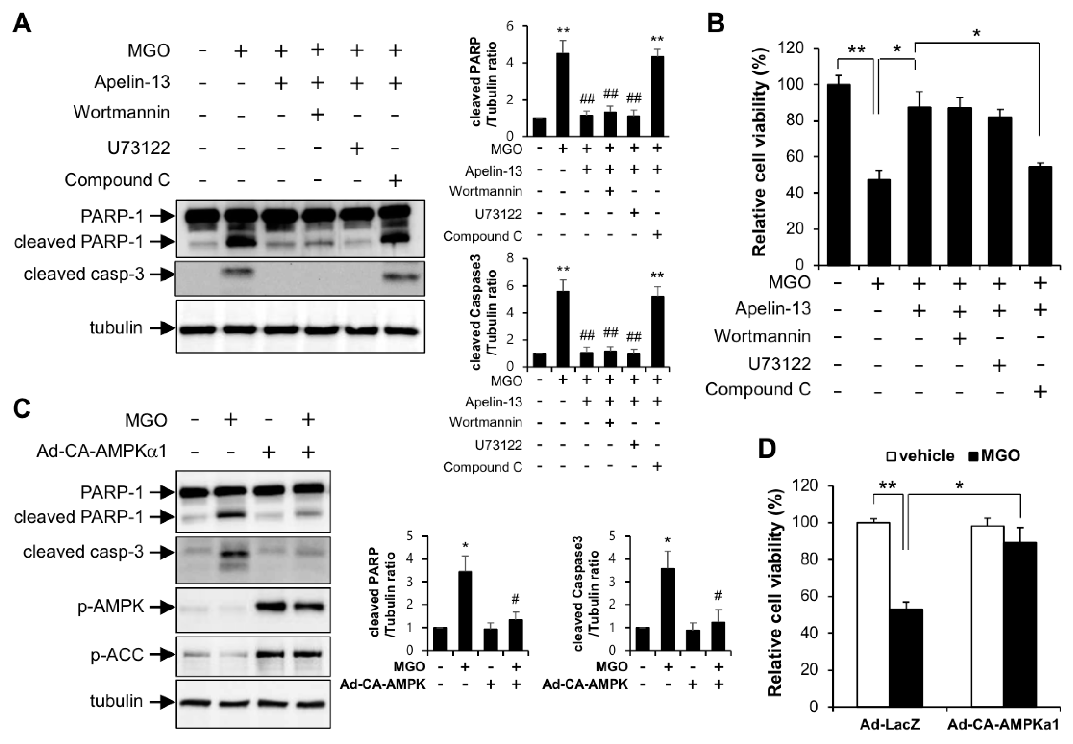 Ijms 21 04069 g005 Ijms 21 04069 g005
