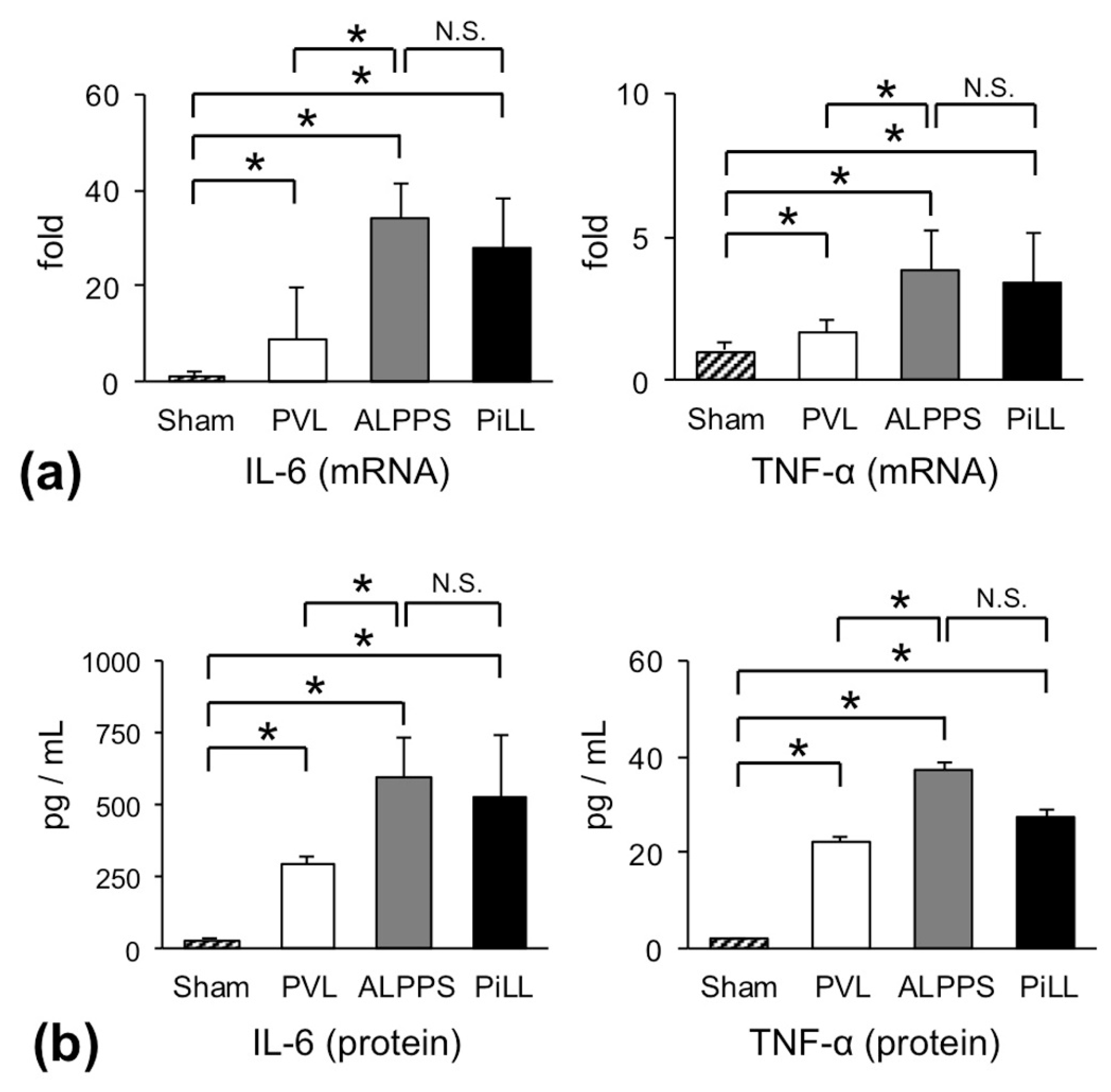 Ijms 21 04077 g004 Ijms 21 04077 g004