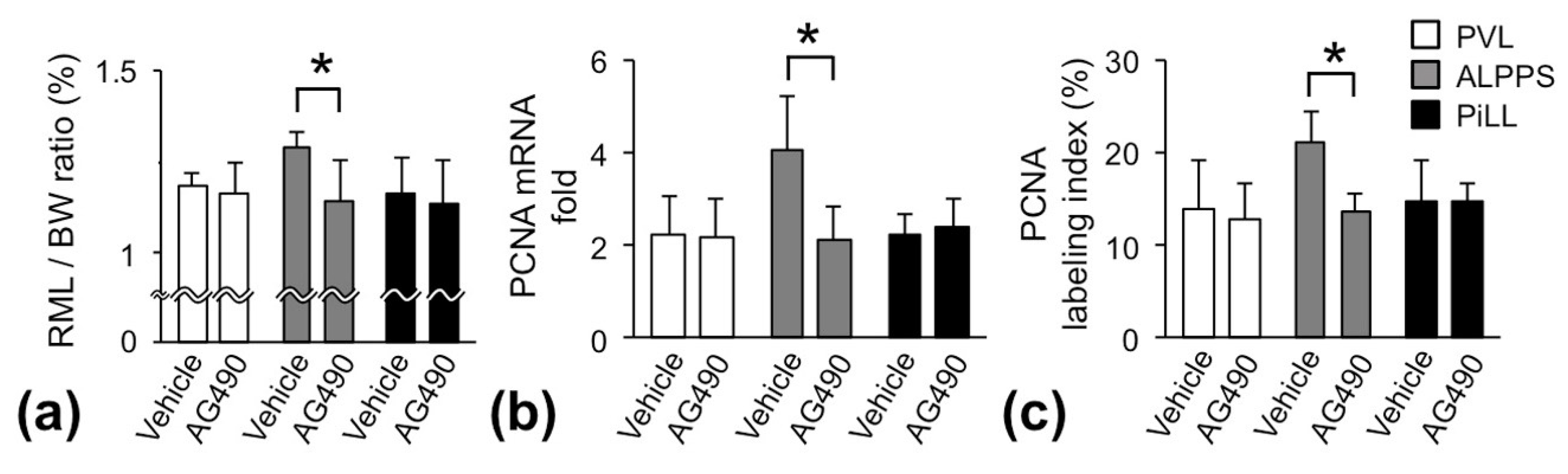 Ijms 21 04077 g006 Ijms 21 04077 g006