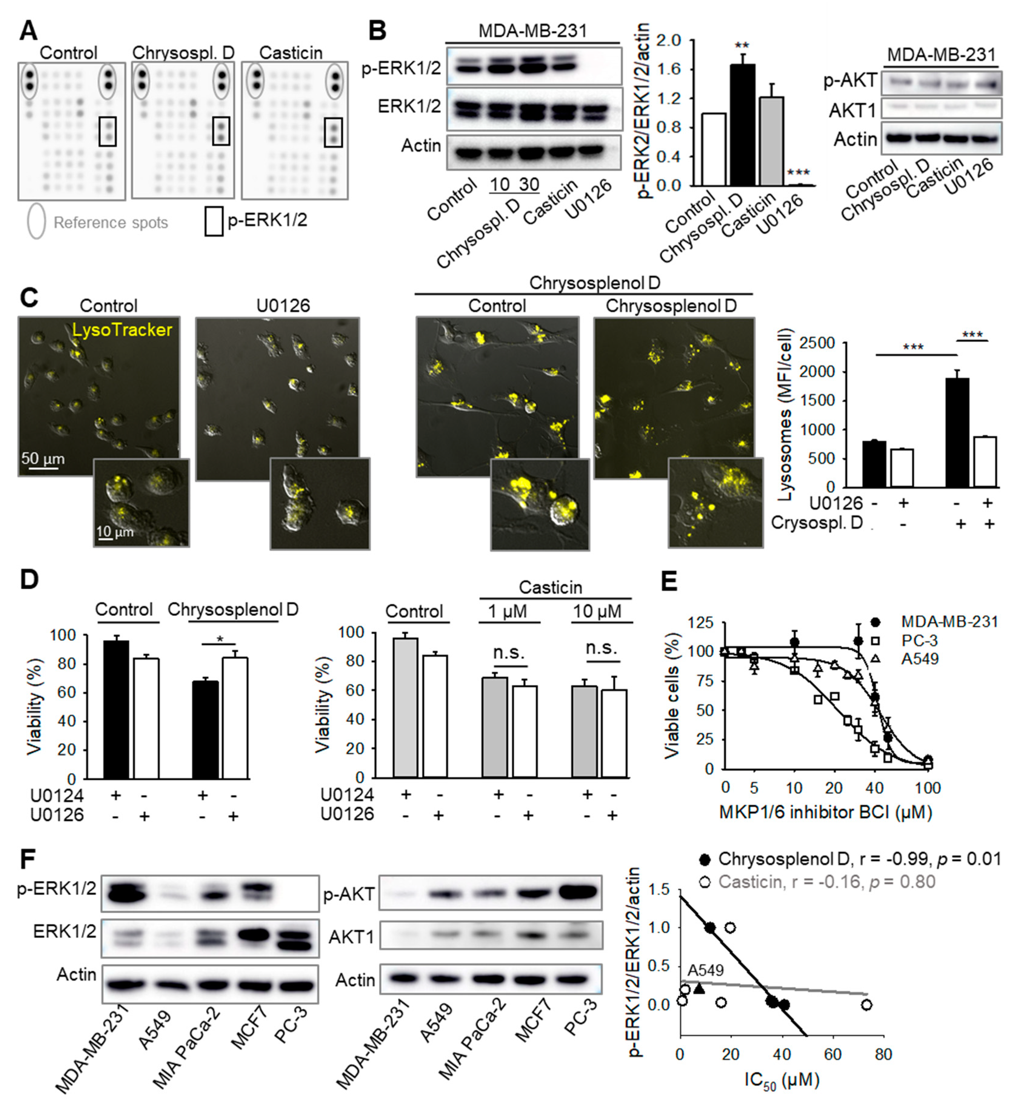 Ijms 21 04090 g007 Ijms 21 04090 g007