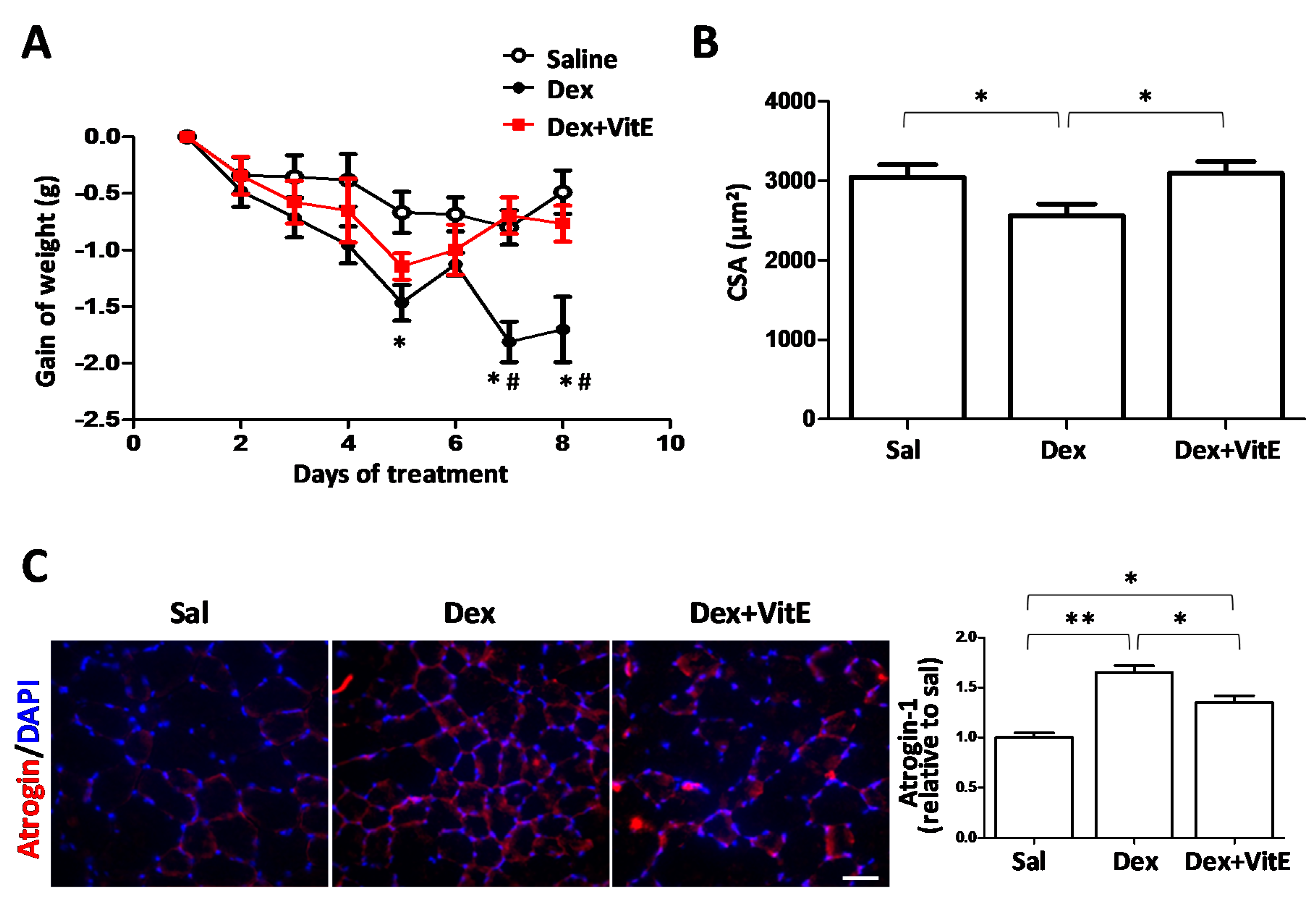Ijms 21 04094 g001 Ijms 21 04094 g001