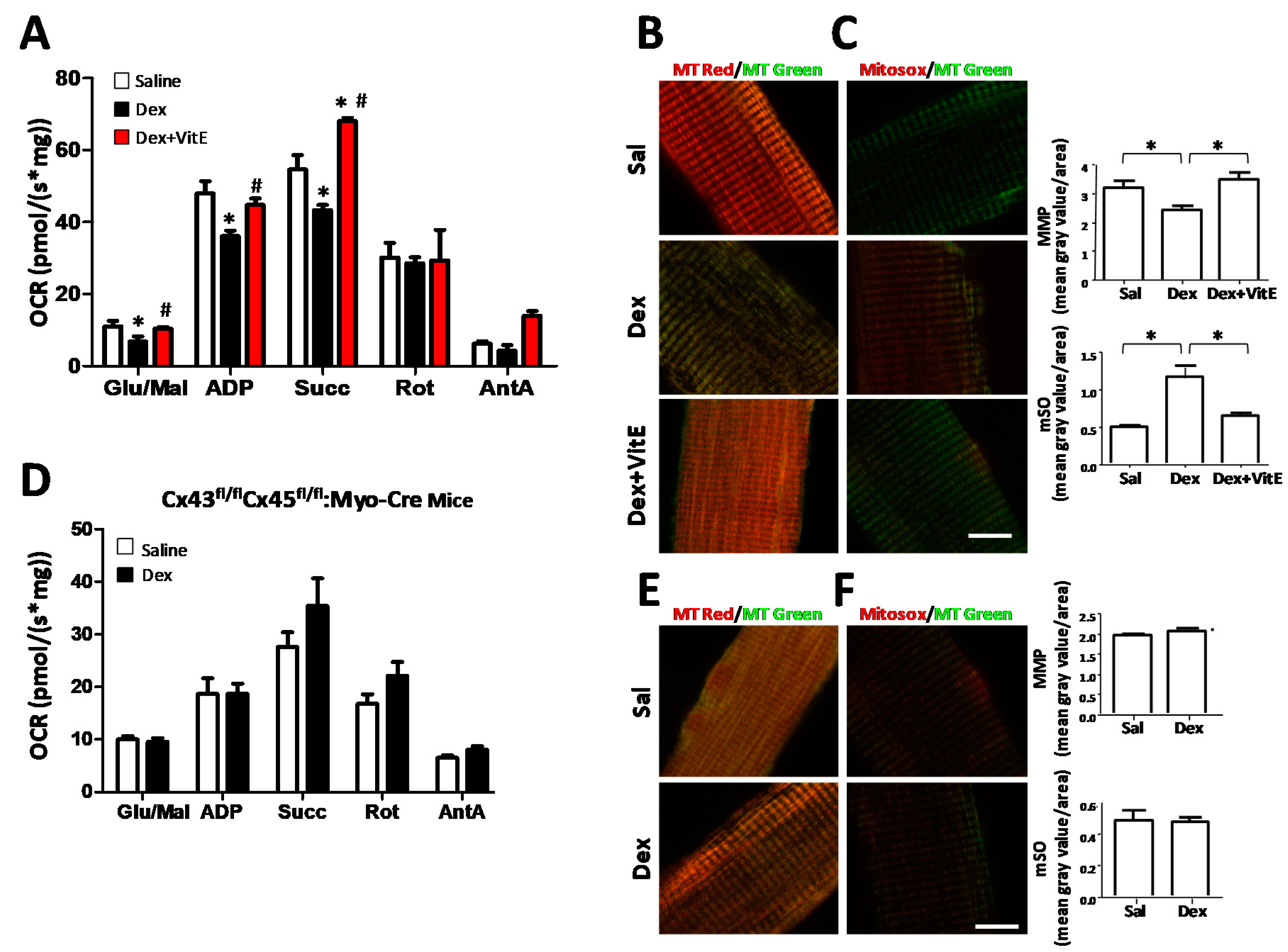 Ijms 21 04094 g004 Ijms 21 04094 g004