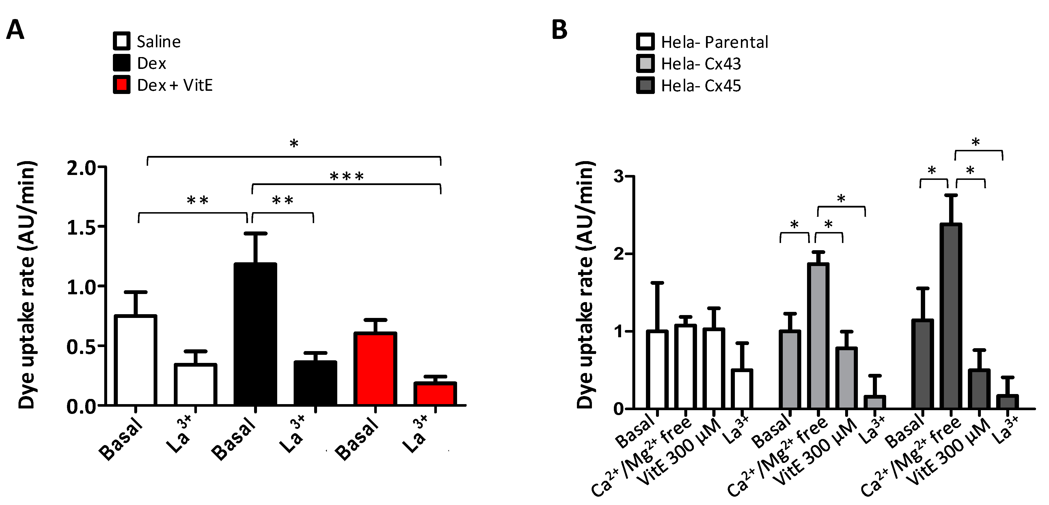 Ijms 21 04094 g005 Ijms 21 04094 g005