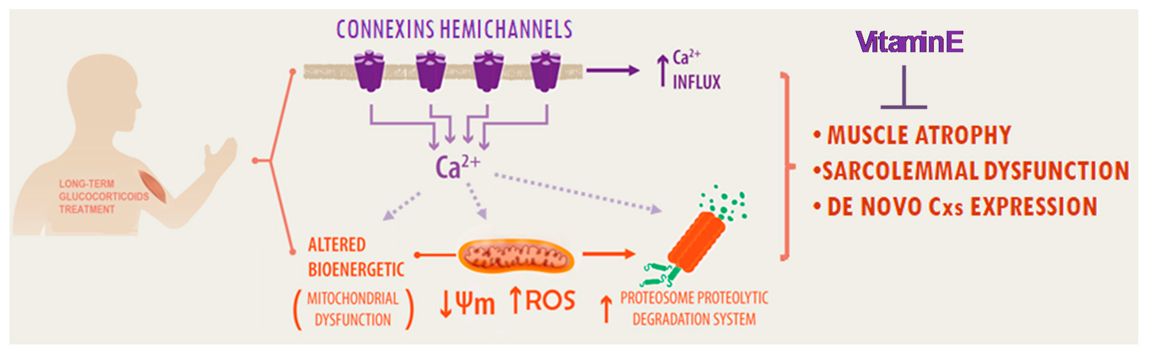 Ijms 21 04094 g008 Ijms 21 04094 g008