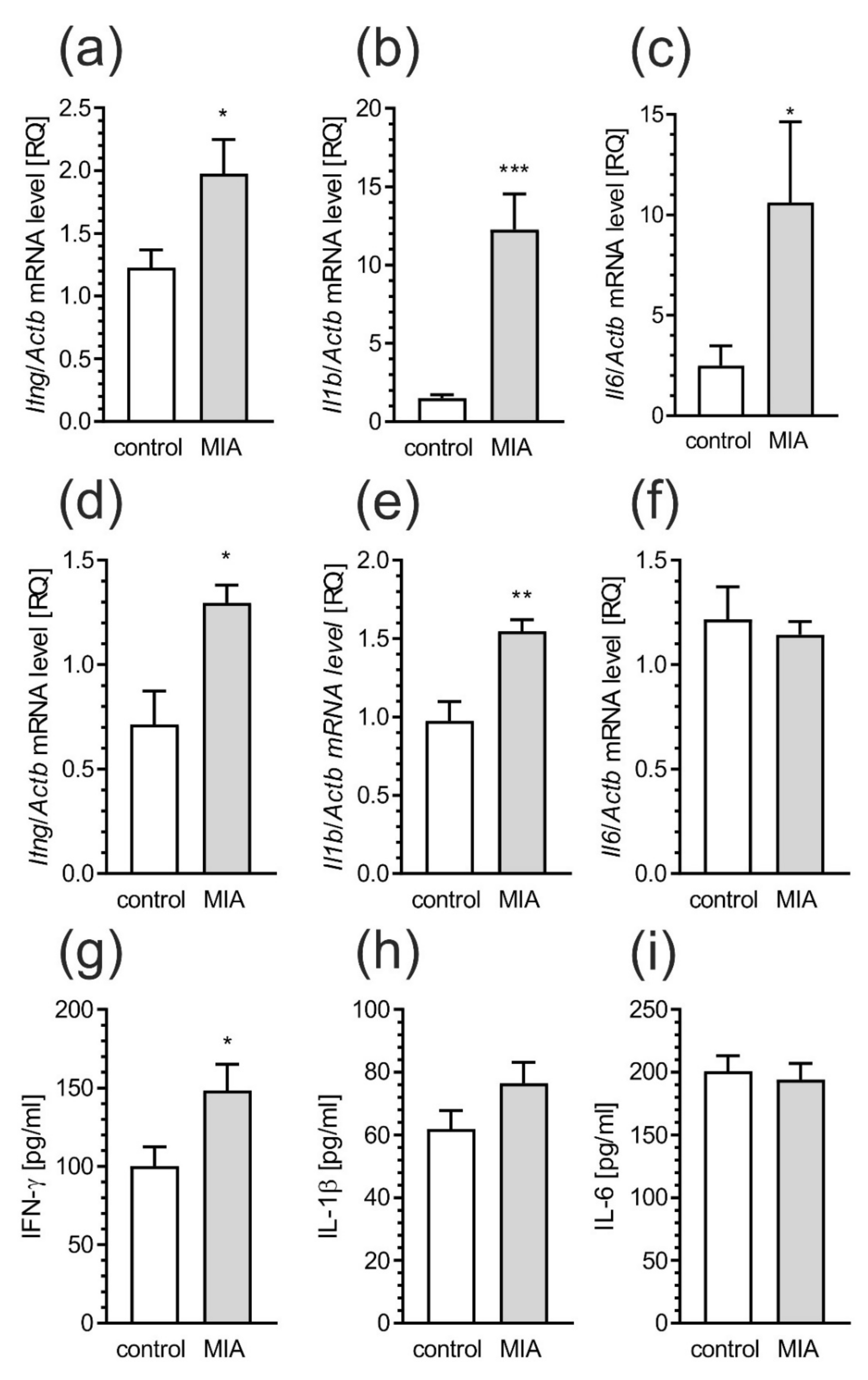 Ijms 21 04097 g013 Ijms 21 04097 g013